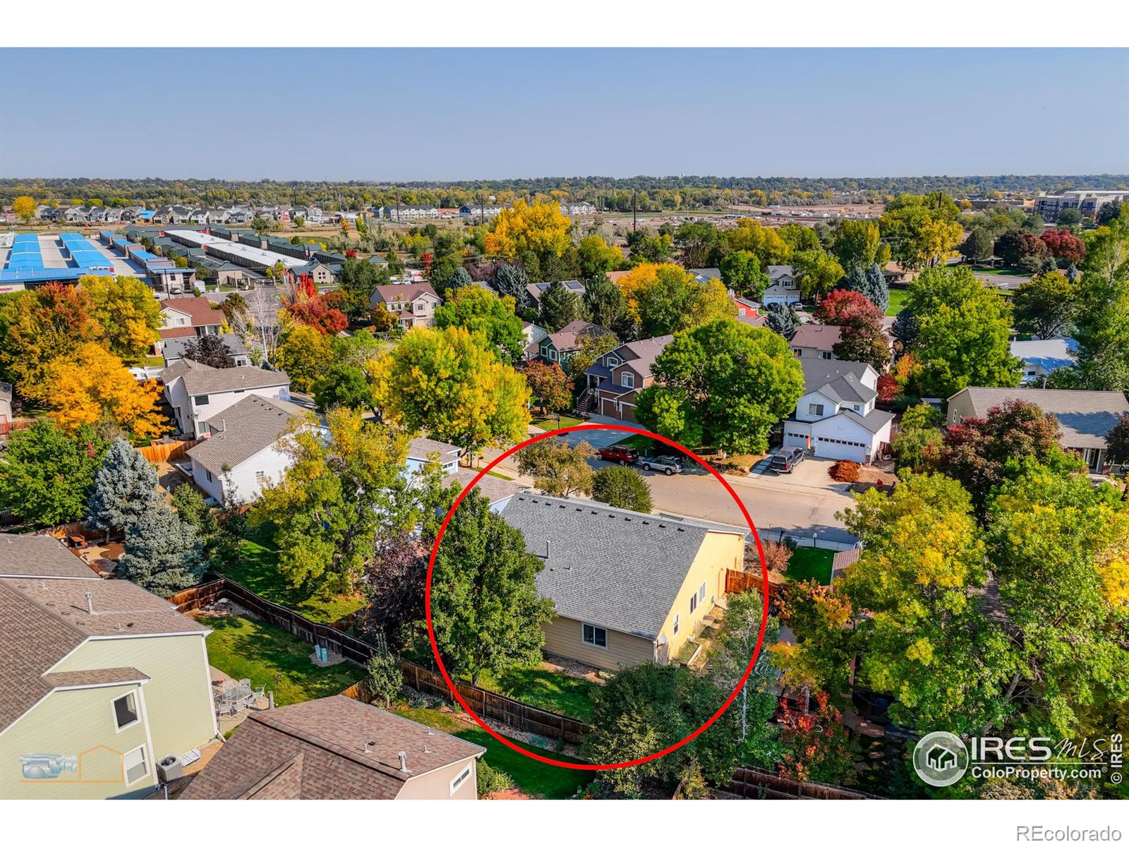 701 Nelson Park Lane, Longmont, CO 80503, 3 Bedrooms Bedrooms, ,3 BathroomsBathrooms,Residential,For Sale,Nelson Park,RECIR1020509