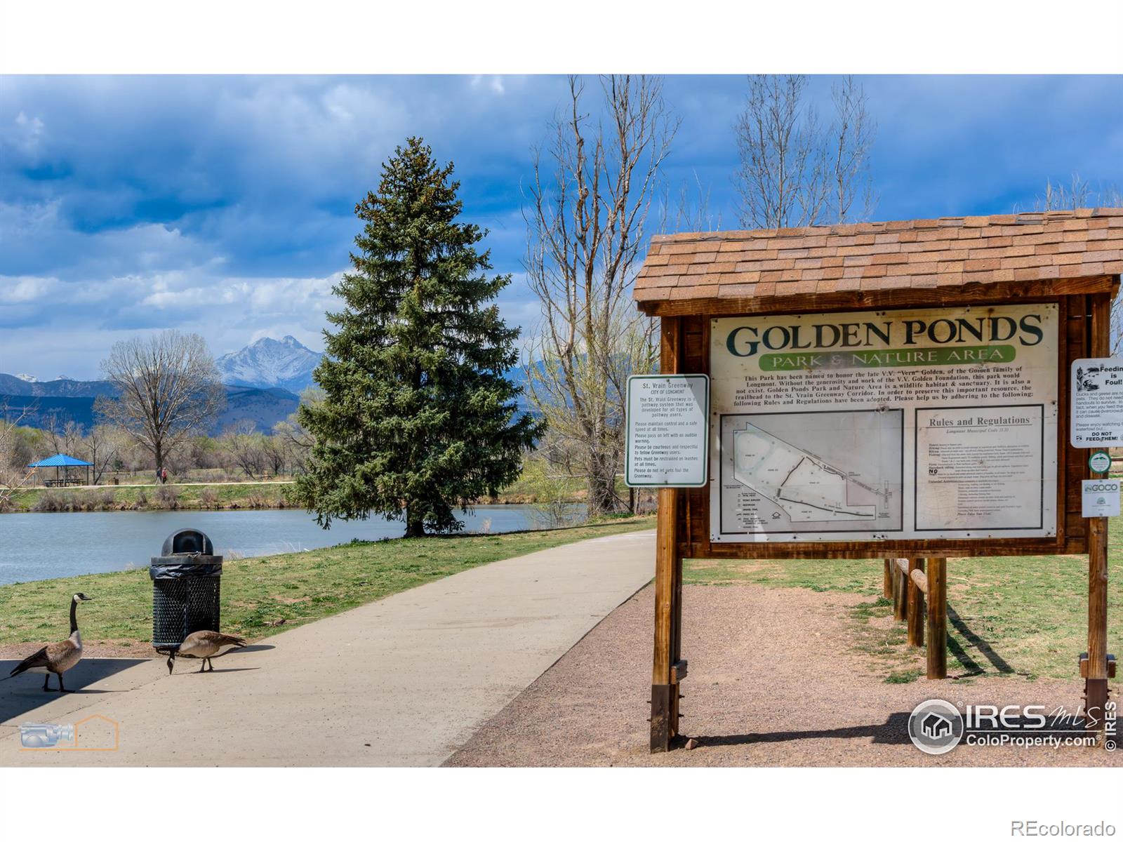 701 Nelson Park Lane, Longmont, CO 80503, 3 Bedrooms Bedrooms, ,3 BathroomsBathrooms,Residential,For Sale,Nelson Park,RECIR1020509