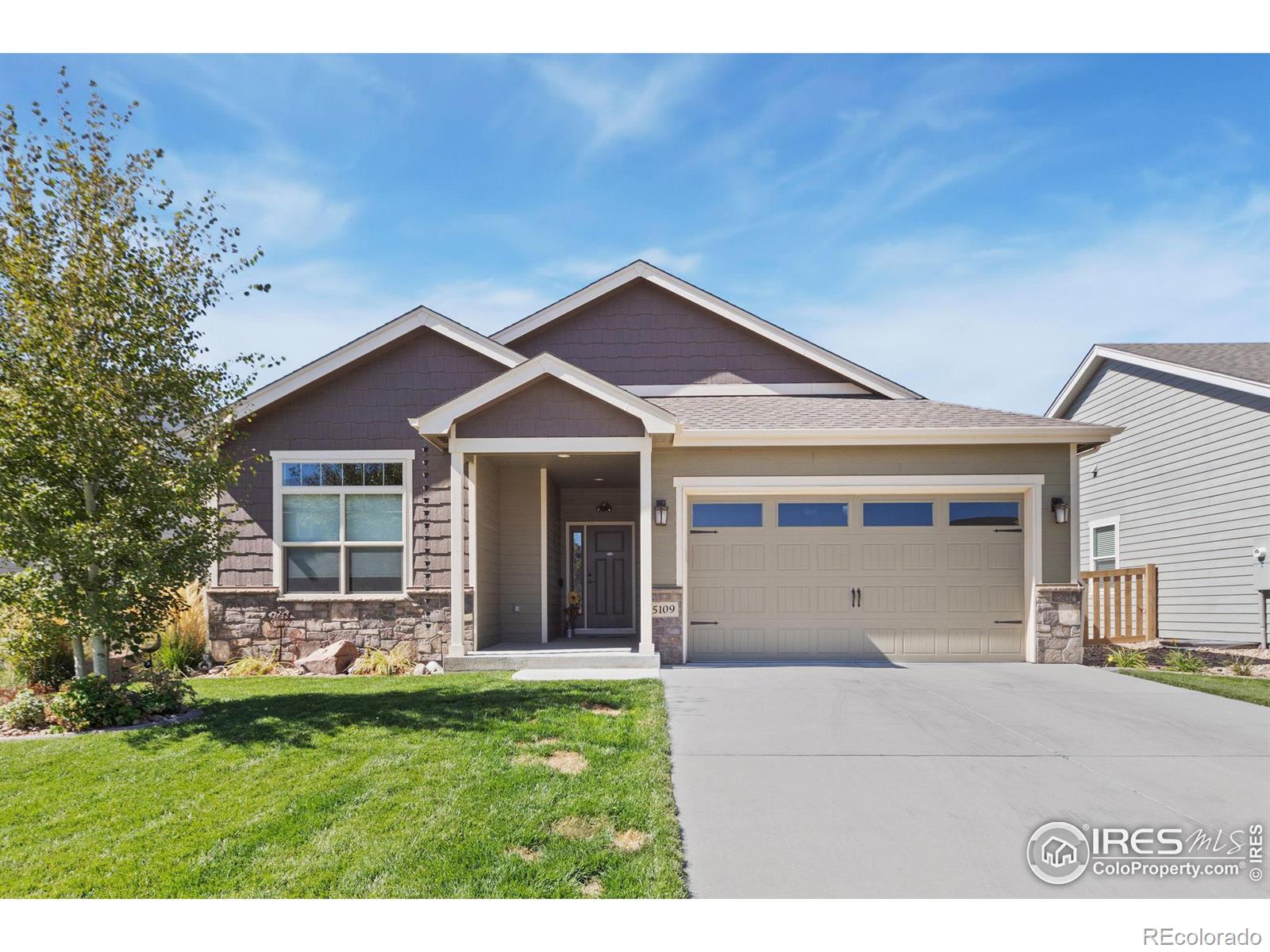 5109 Long Drive, Timnath, CO 80547, 3 Bedrooms Bedrooms, ,3 BathroomsBathrooms,Residential,For Sale,Long,RECIR1020355