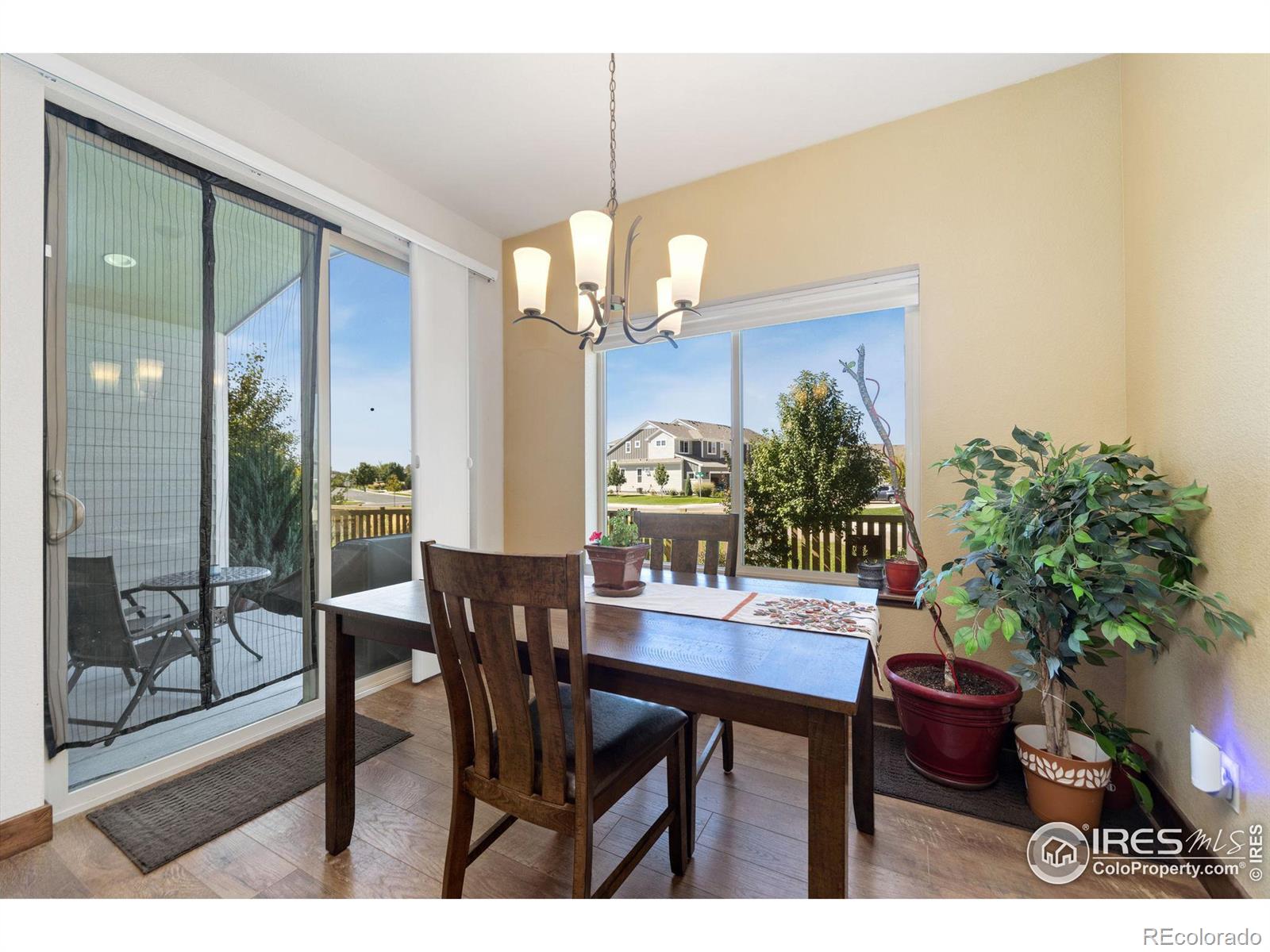 5109 Long Drive, Timnath, CO 80547, 3 Bedrooms Bedrooms, ,3 BathroomsBathrooms,Residential,For Sale,Long,RECIR1020355