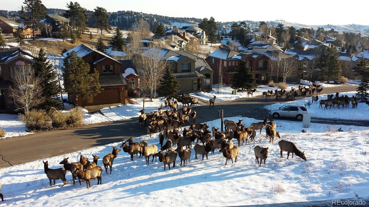 24087 Deer Valley Road, Golden, CO 80401, 4 Bedrooms Bedrooms, ,4 BathroomsBathrooms,Residential,For Sale,Deer Valley,REC9895393