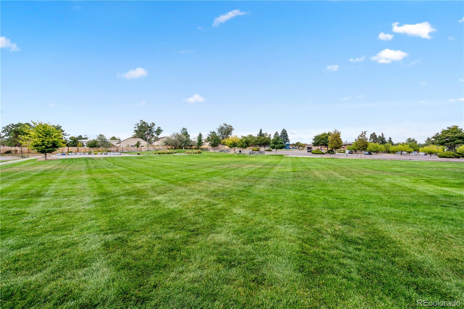 1832 Robb Street, Lakewood, CO 80215, 2 Bedrooms Bedrooms, ,3 BathroomsBathrooms,Residential,For Sale,Robb,REC8905689