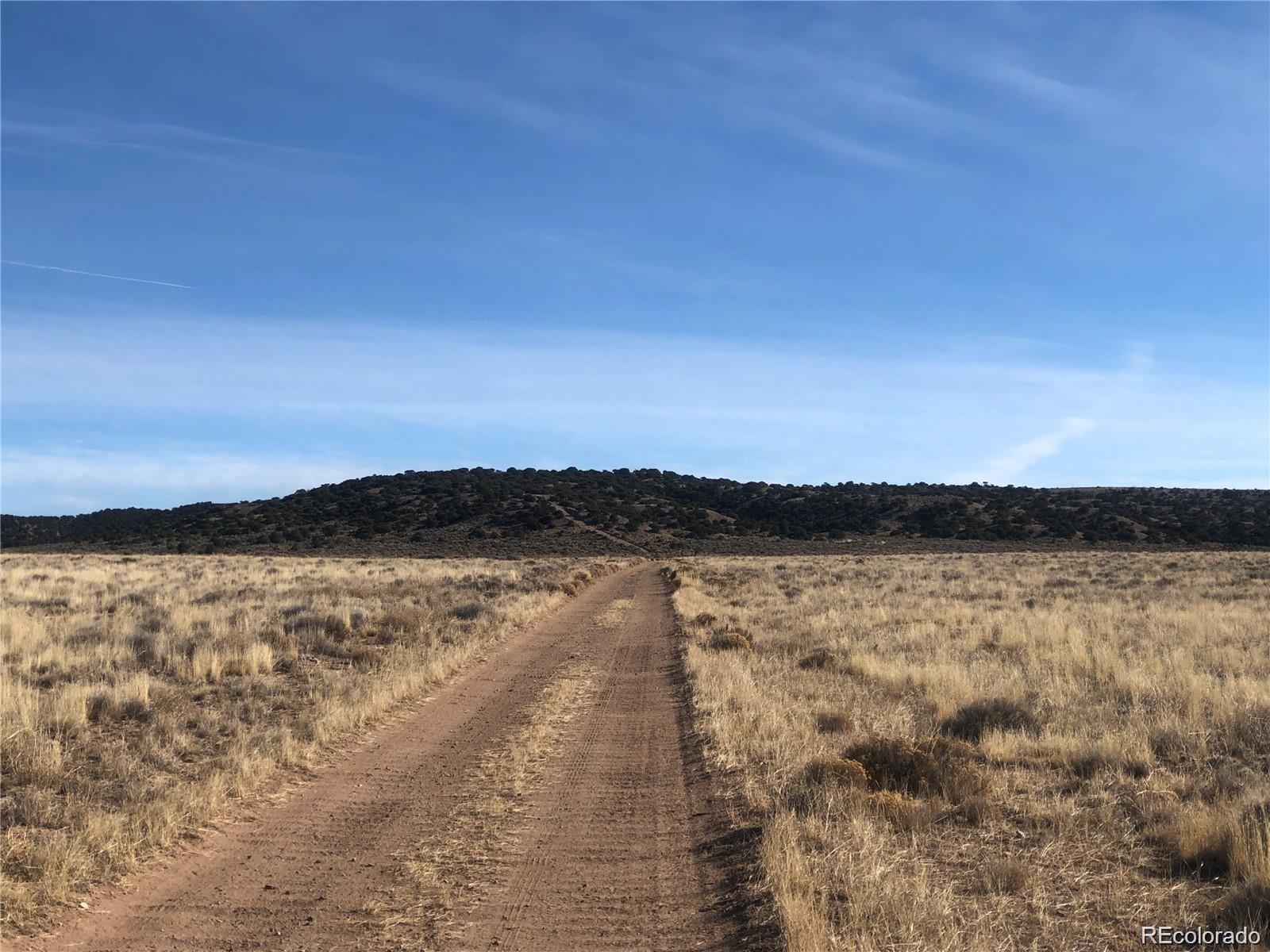 Restricted Address, Blanca, CO 81123, ,Land,For Sale,LL 10th,REC8596909