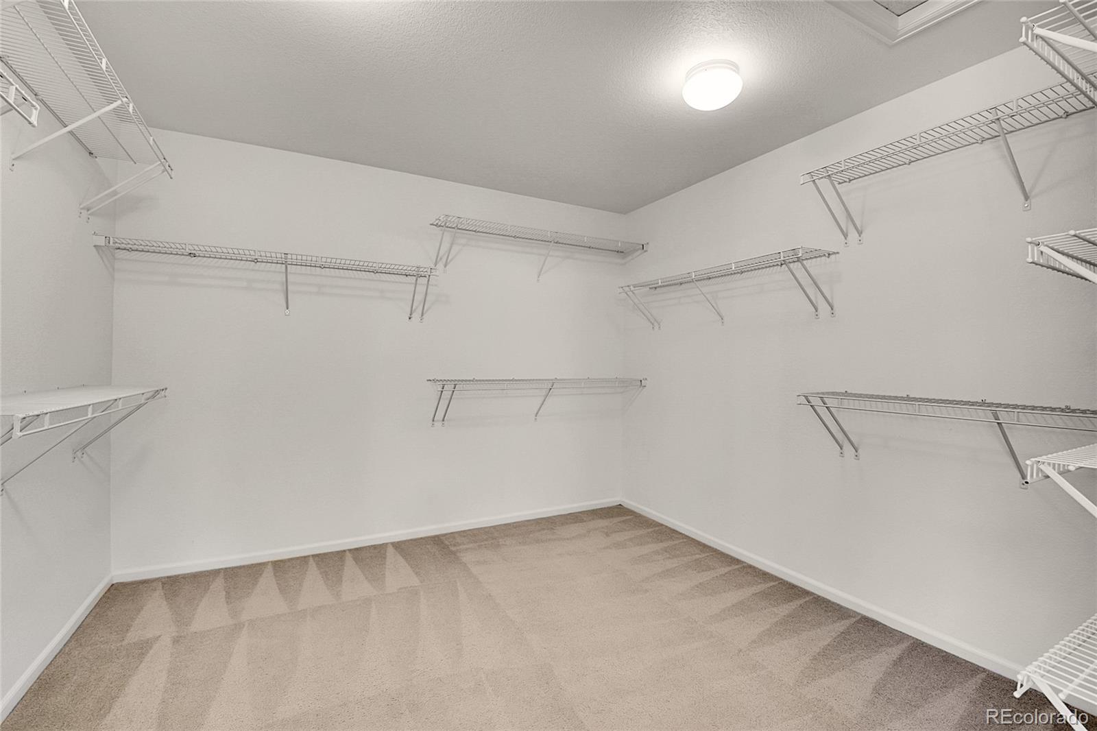 3445 Dinosaur, Castle Rock, CO 80109, 3 Bedrooms Bedrooms, ,3 BathroomsBathrooms,Residential,For Sale,Dinosaur,REC5259177