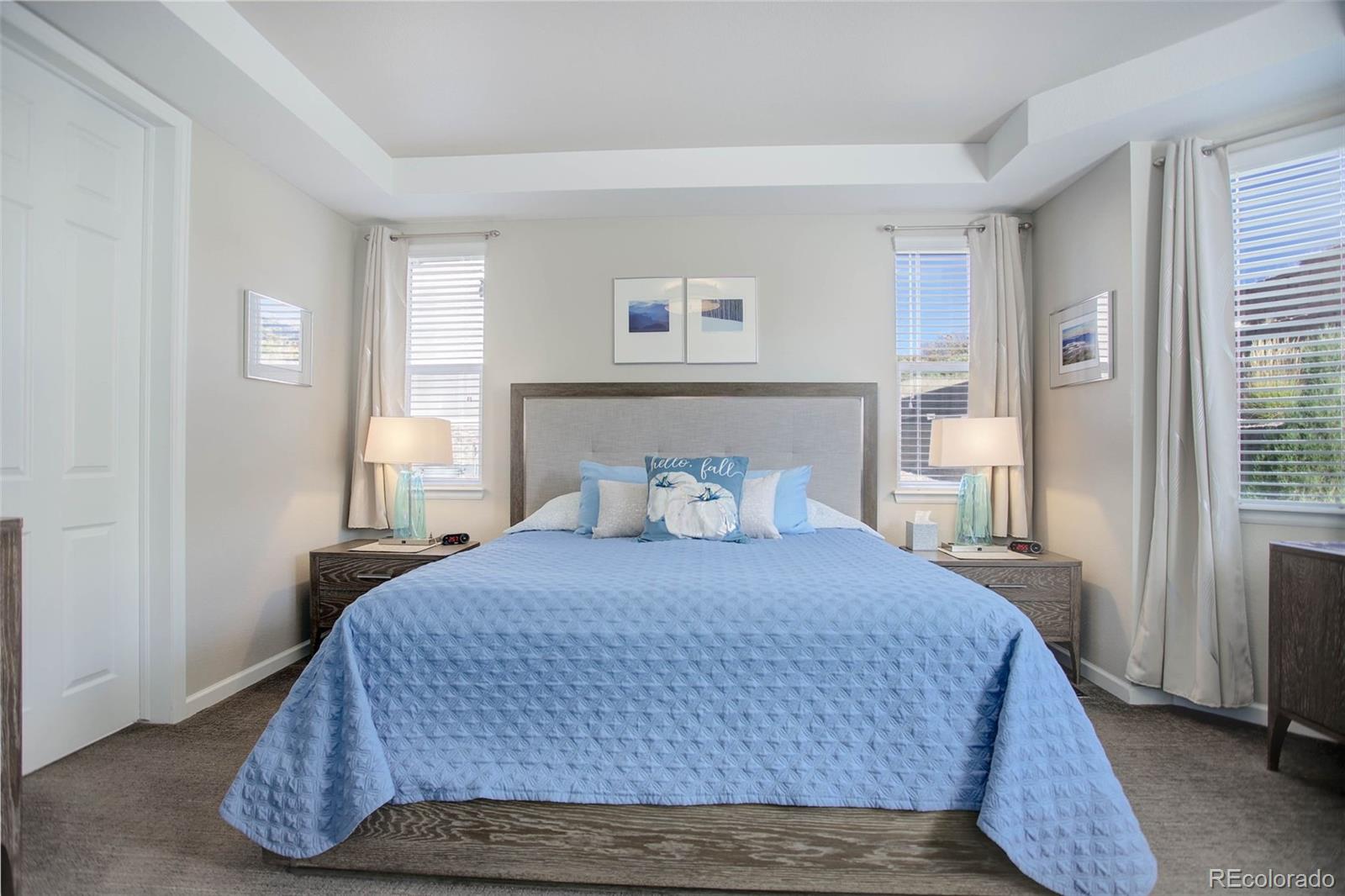 2994 McCracken Lane, Castle Rock, CO 80104, 3 Bedrooms Bedrooms, ,2 BathroomsBathrooms,Residential,For Sale,McCracken,REC9832811