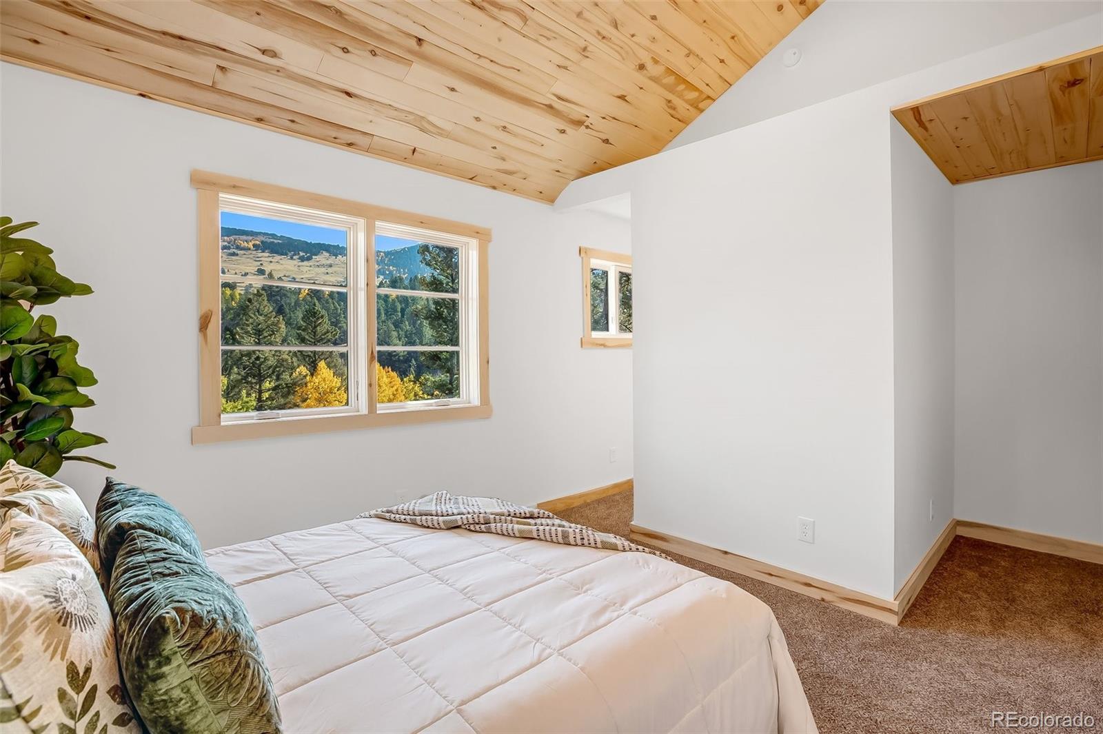 475 Crystal Drive, Cripple Creek, CO 80813, 3 Bedrooms Bedrooms, ,2 BathroomsBathrooms,Residential,For Sale,Crystal,REC8843156