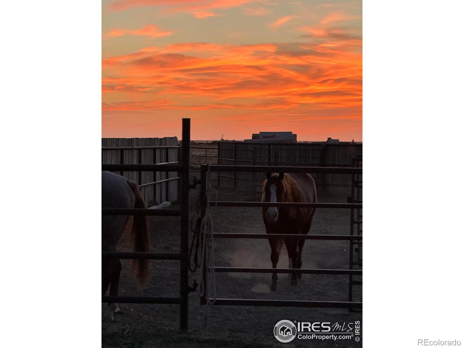 39839 Highway 63, Akron, CO 80720, 3 Bedrooms Bedrooms, ,2 BathroomsBathrooms,Residential,For Sale,Highway 63,RECIR1020627