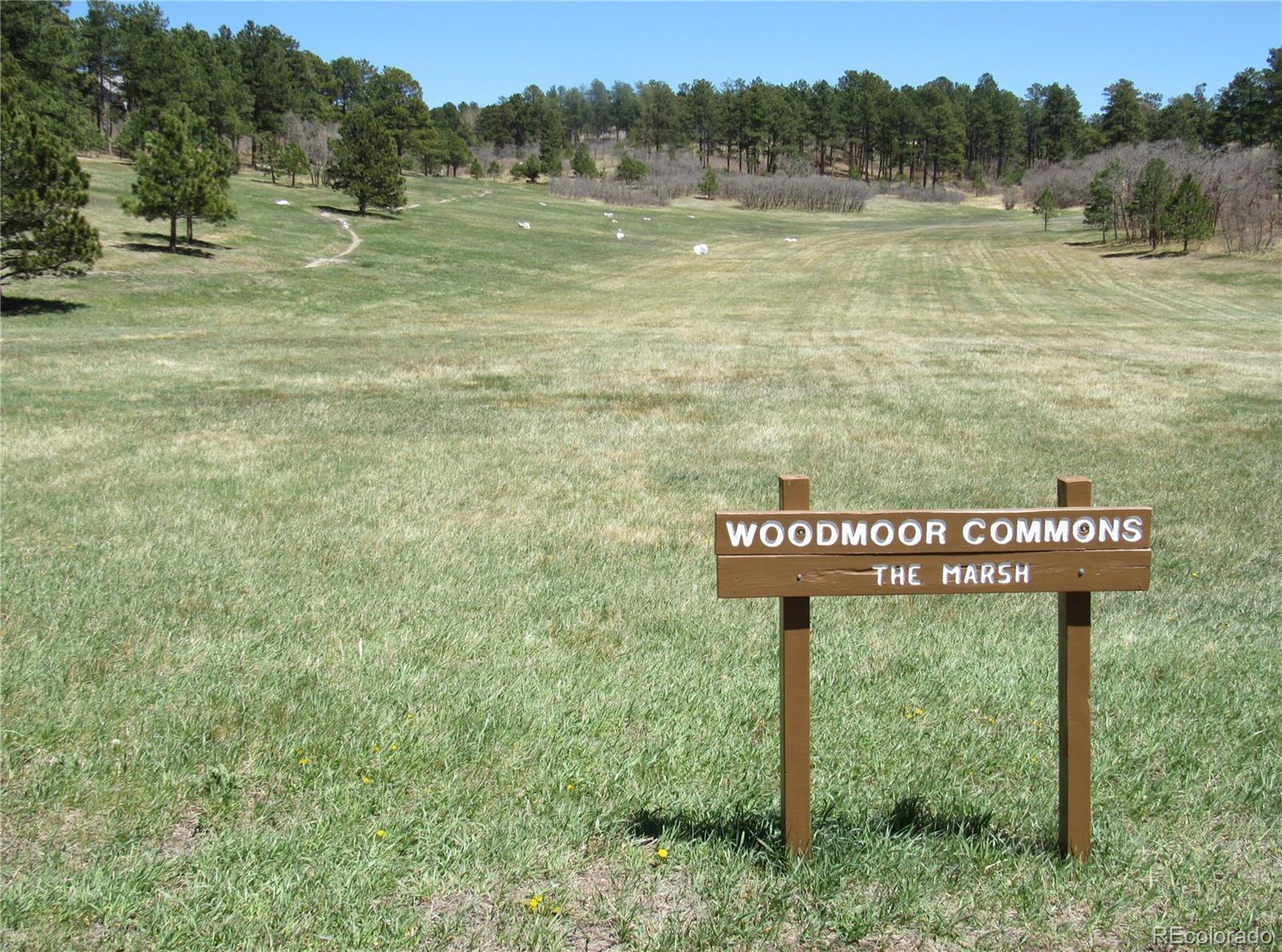 1715 Woodmoor Drive, Monument, CO 80132, 2 Bedrooms Bedrooms, ,2 BathroomsBathrooms,Residential,For Sale,Lake Woodmoor Townhomes,Woodmoor,REC8374987