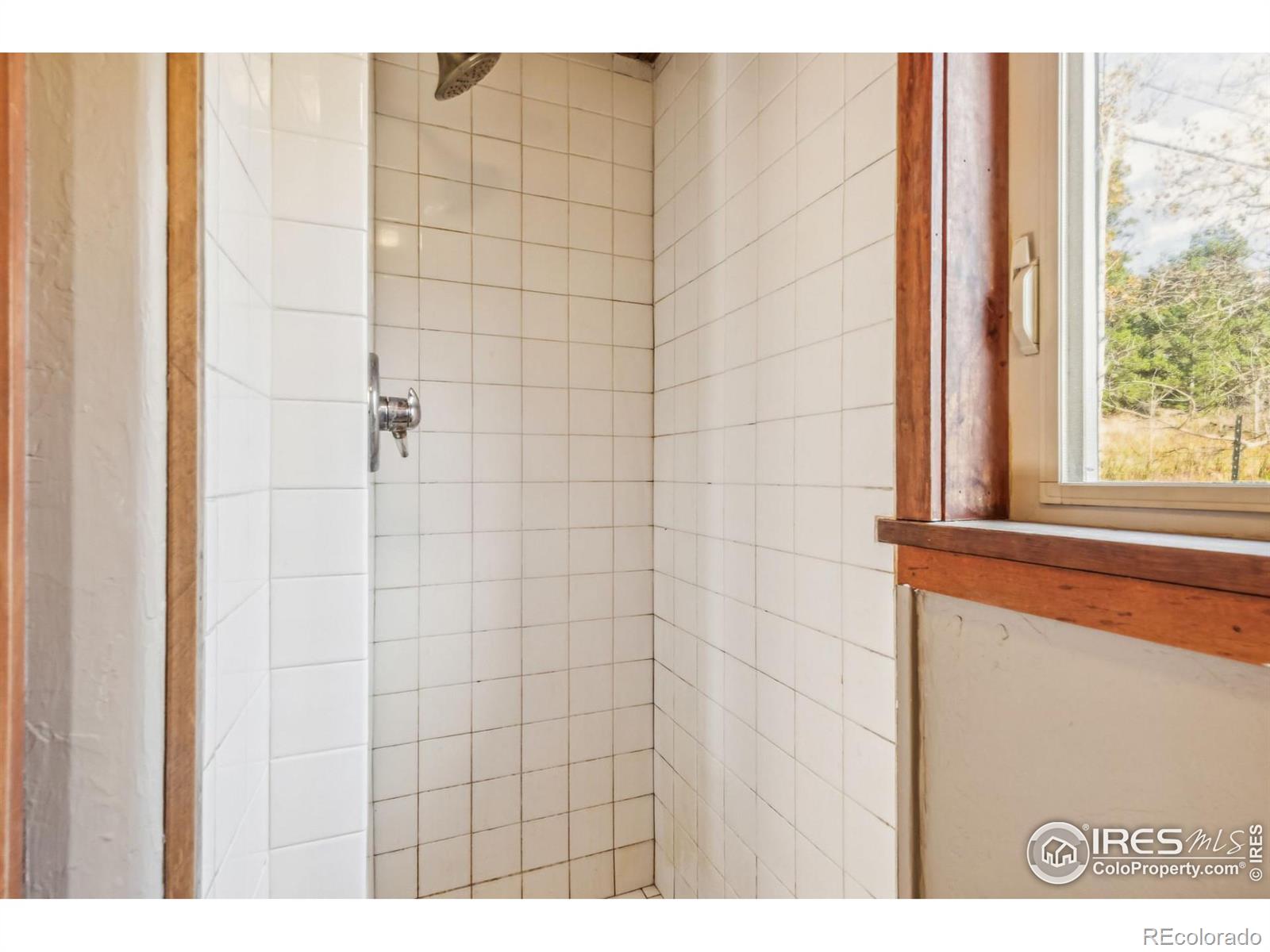 24427 Peak to Peak Highway, Nederland, CO 80466, 2 Bedrooms Bedrooms, ,1 BathroomBathrooms,Residential,For Sale,Peak to Peak,RECIR1020569