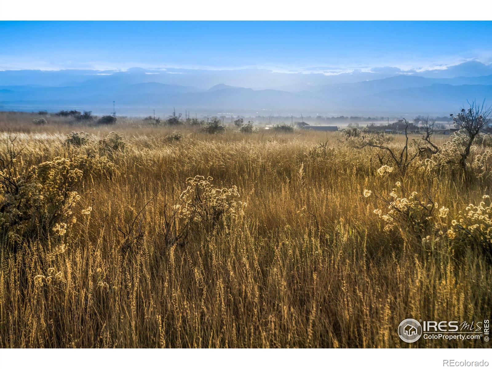 7899 County Road 84 - Lot 1, Fort Collins, CO 80524, ,Land,For Sale,County Road 84 - Lot 1,RECIR1020251