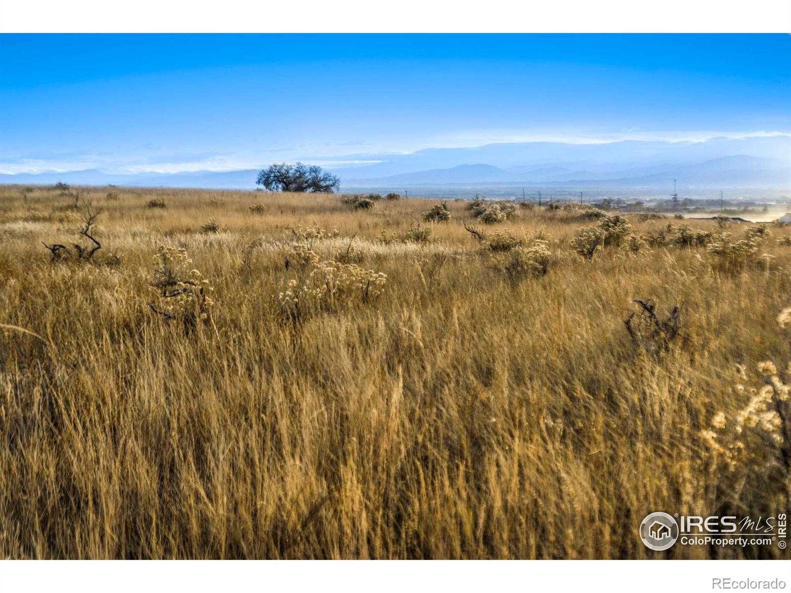 7899 County Road 84 - Lot 1, Fort Collins, CO 80524, ,Land,For Sale,County Road 84 - Lot 1,RECIR1020251