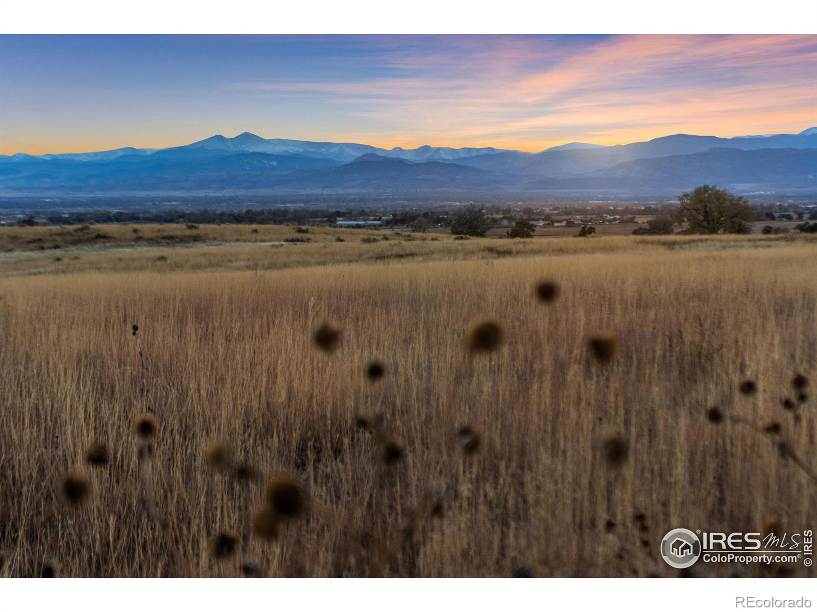 7899 County Road 84 - Lot 1, Fort Collins, CO 80524, ,Land,For Sale,County Road 84 - Lot 1,RECIR1020251