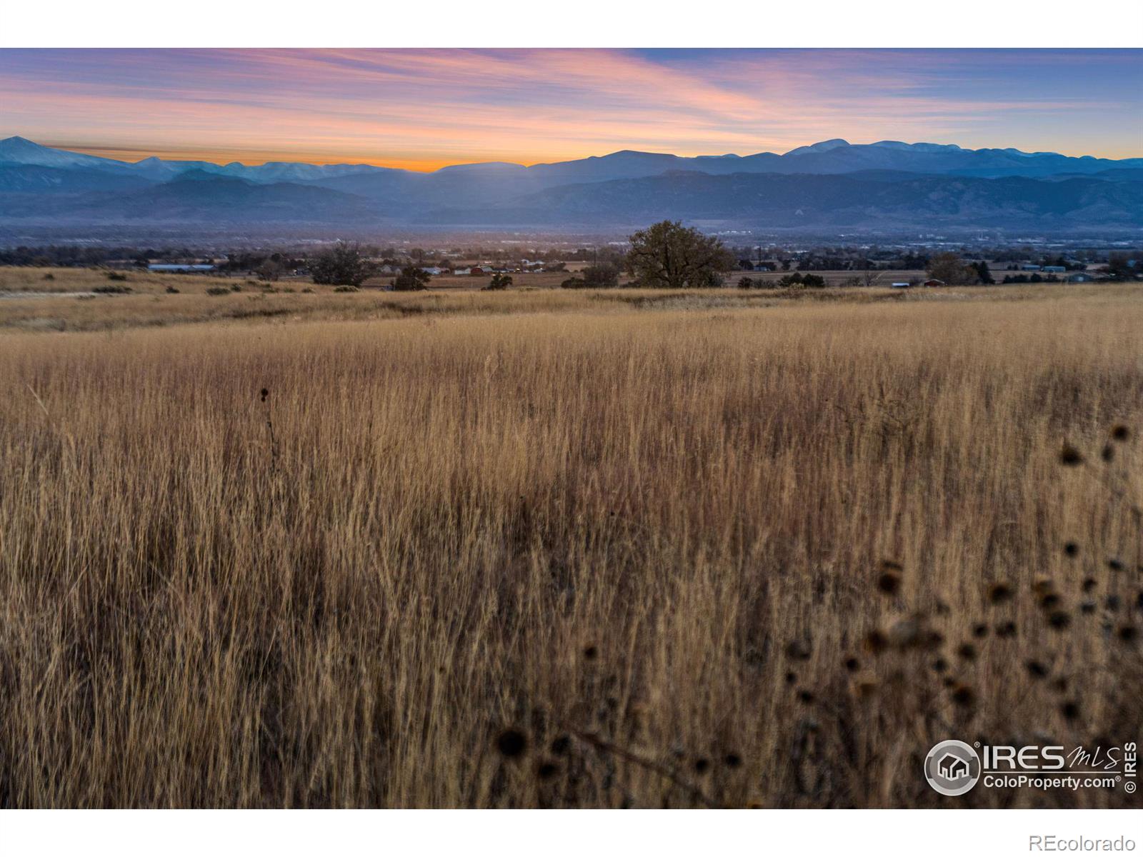 7899 County Road 84 - Lot 1, Fort Collins, CO 80524, ,Land,For Sale,County Road 84 - Lot 1,RECIR1020251