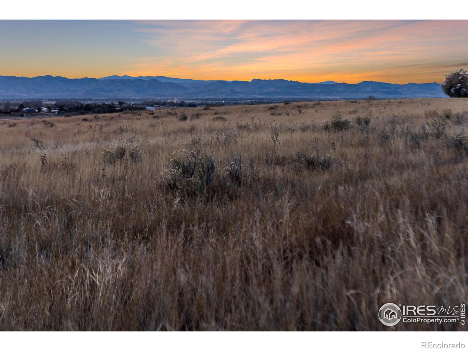 7899 County Road 84 - Lot 1, Fort Collins, CO 80524, ,Land,For Sale,County Road 84 - Lot 1,RECIR1020251