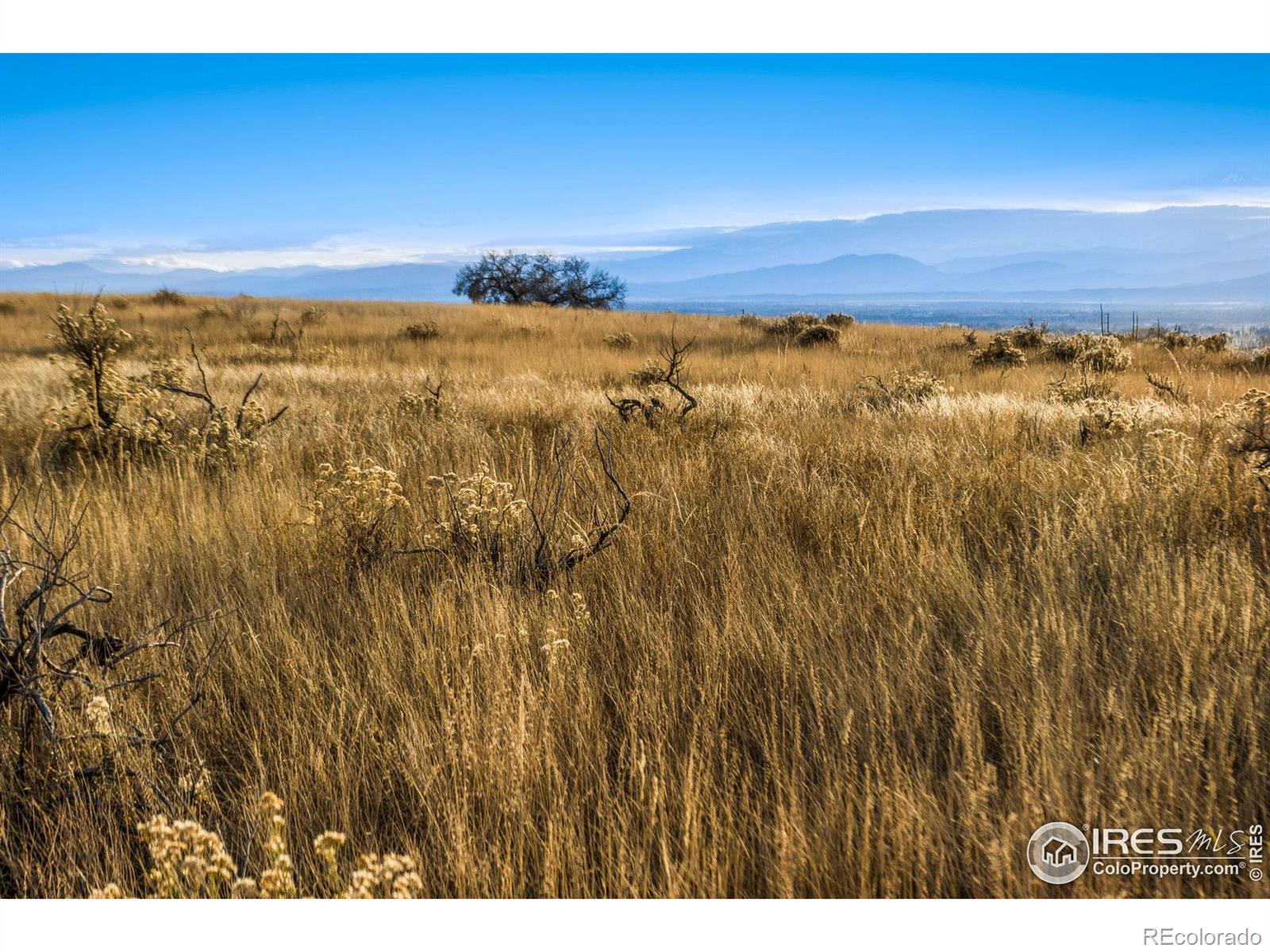 7899 County Road 84 - Lot 1, Fort Collins, CO 80524, ,Land,For Sale,County Road 84 - Lot 1,RECIR1020251