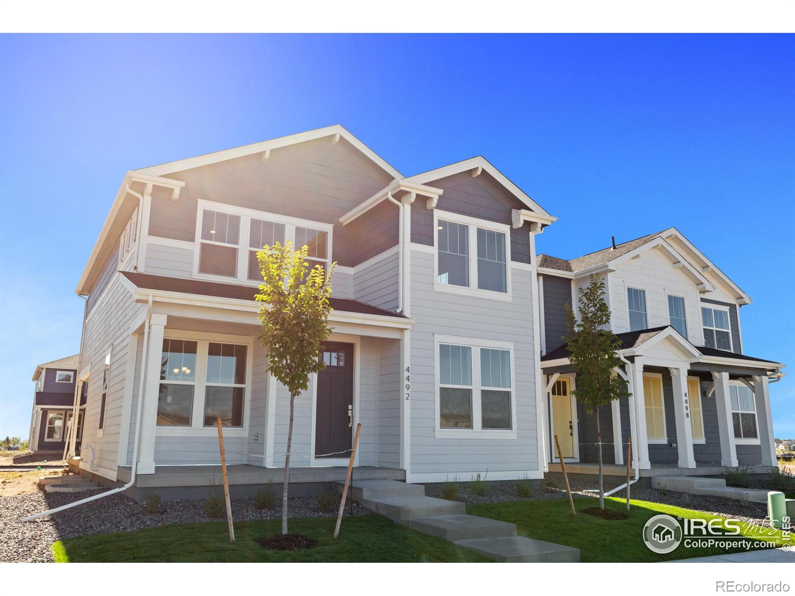 4492 Burl Street, Timnath, CO 80547, 3 Bedrooms Bedrooms, ,3 BathroomsBathrooms,Residential,For Sale,Burl,RECIR1020381