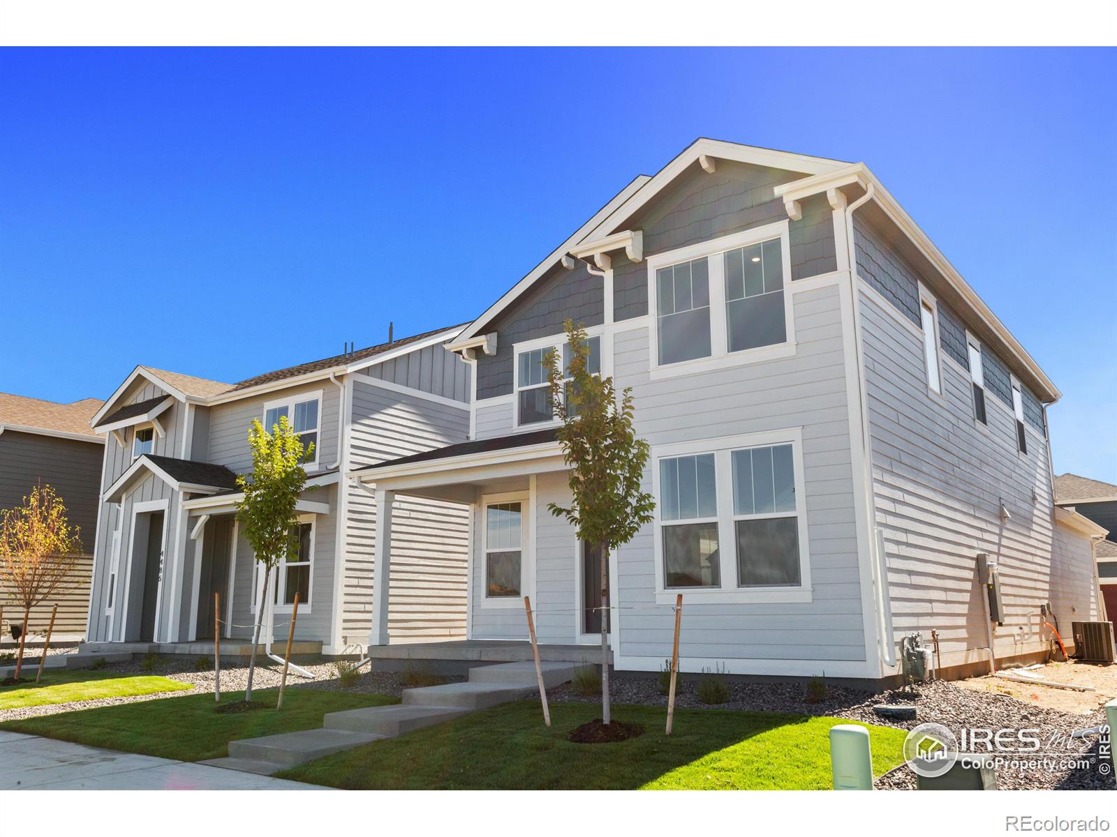 4492 Burl Street, Timnath, CO 80547, 3 Bedrooms Bedrooms, ,3 BathroomsBathrooms,Residential,For Sale,Burl,RECIR1020381