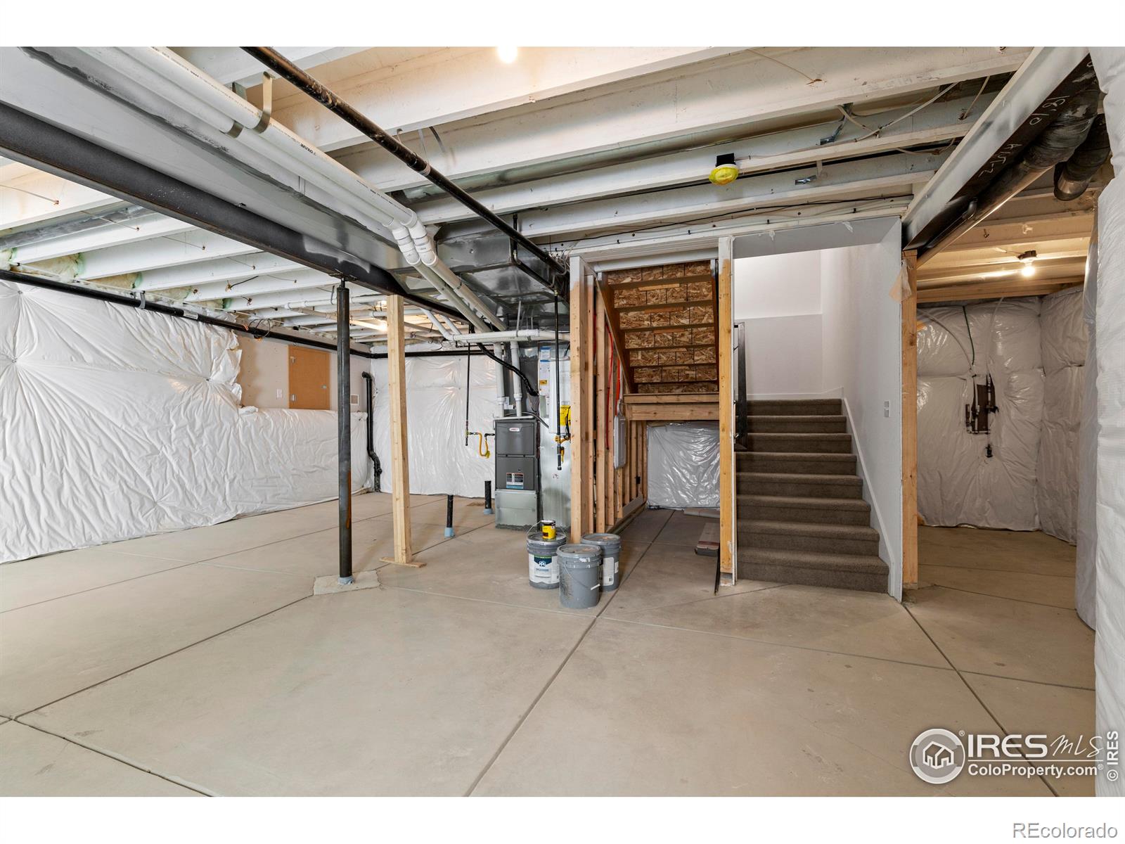 4492 Burl Street, Timnath, CO 80547, 3 Bedrooms Bedrooms, ,3 BathroomsBathrooms,Residential,For Sale,Burl,RECIR1020381