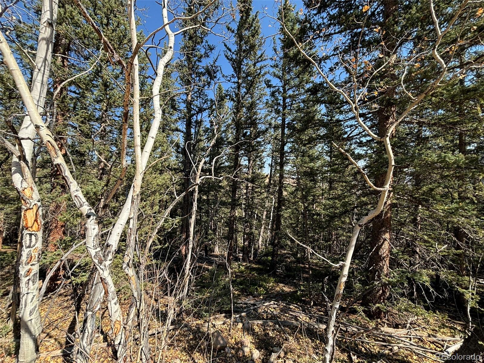 00 Boreas Circle, Jefferson, CO 80456, ,Land,For Sale,Boreas,REC5221686
