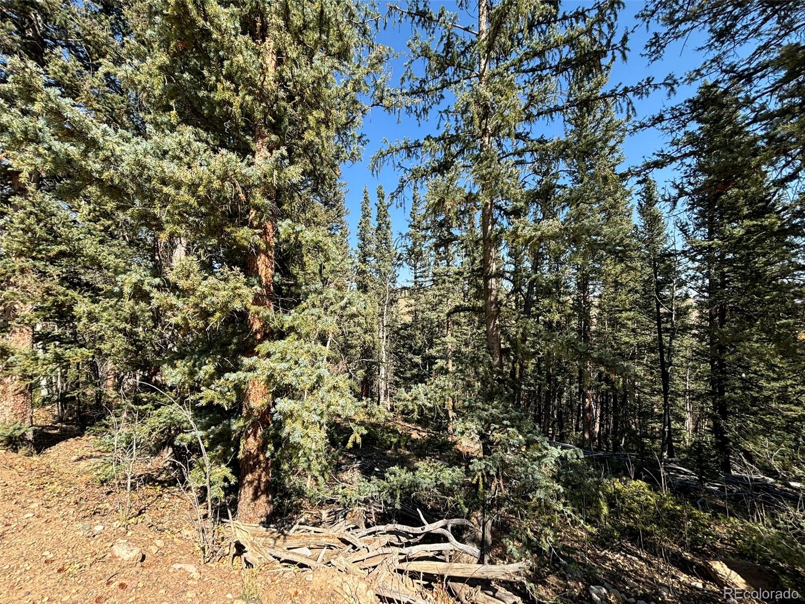 00 Boreas Circle, Jefferson, CO 80456, ,Land,For Sale,Boreas,REC5221686