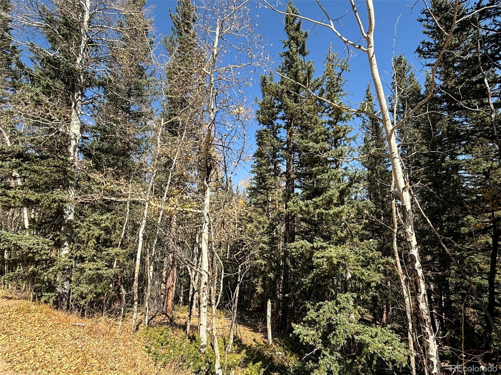 00 Boreas Circle, Jefferson, CO 80456, ,Land,For Sale,Boreas,REC5221686