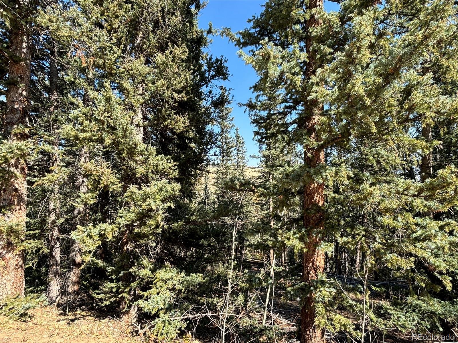 00 Boreas Circle, Jefferson, CO 80456, ,Land,For Sale,Boreas,REC5221686