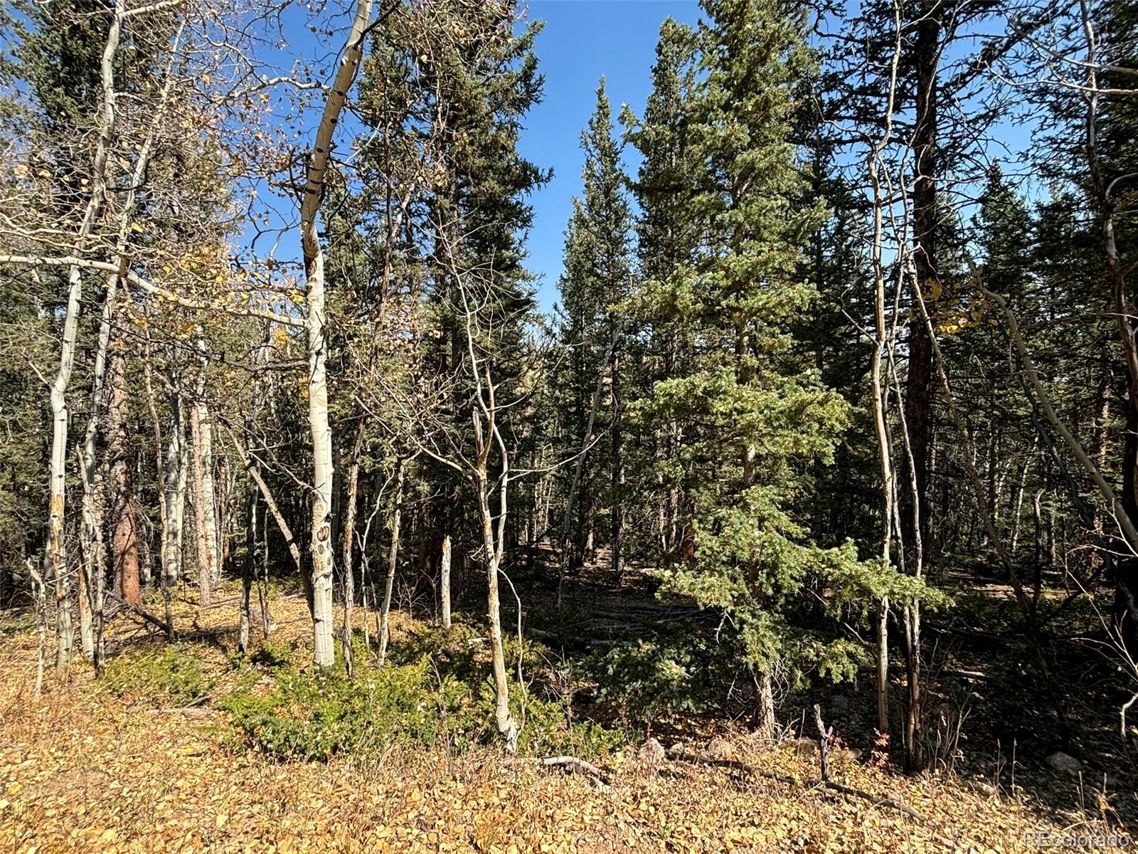 00 Boreas Circle, Jefferson, CO 80456, ,Land,For Sale,Boreas,REC5221686