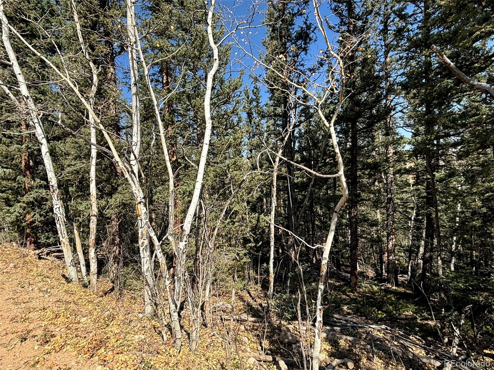 00 Boreas Circle, Jefferson, CO 80456, ,Land,For Sale,Boreas,REC5221686