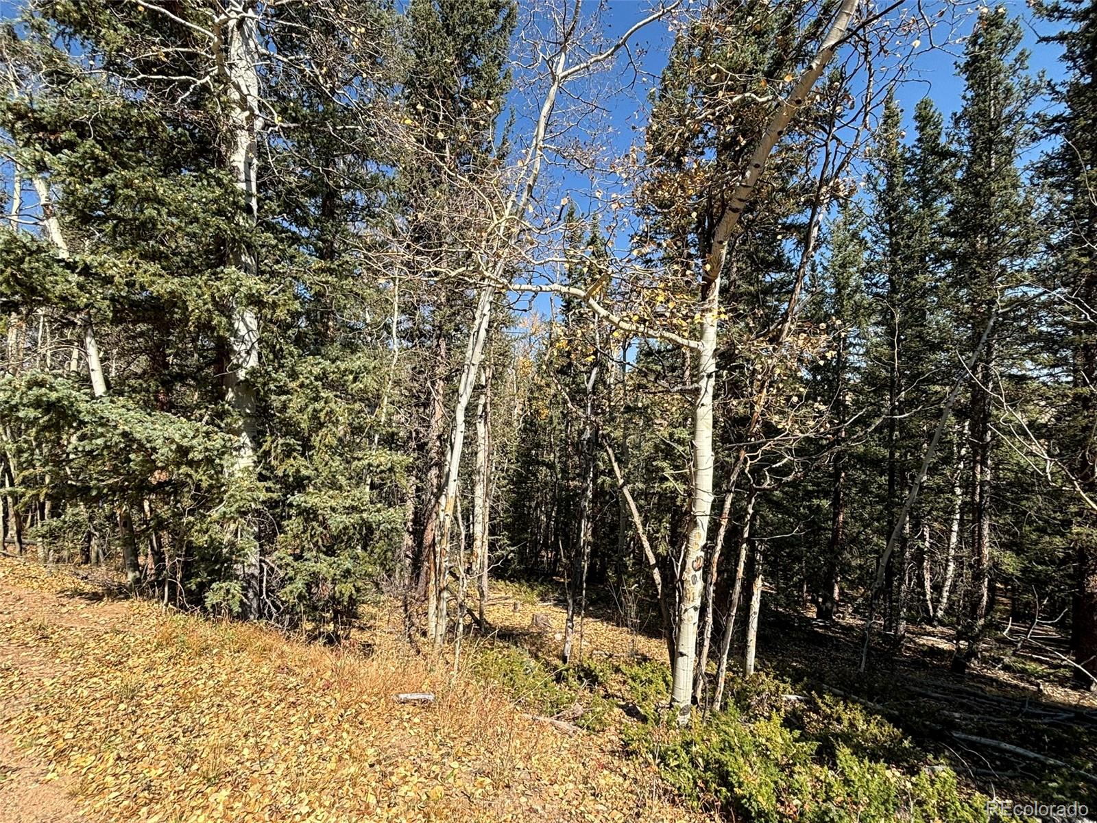 00 Boreas Circle, Jefferson, CO 80456, ,Land,For Sale,Boreas,REC5221686