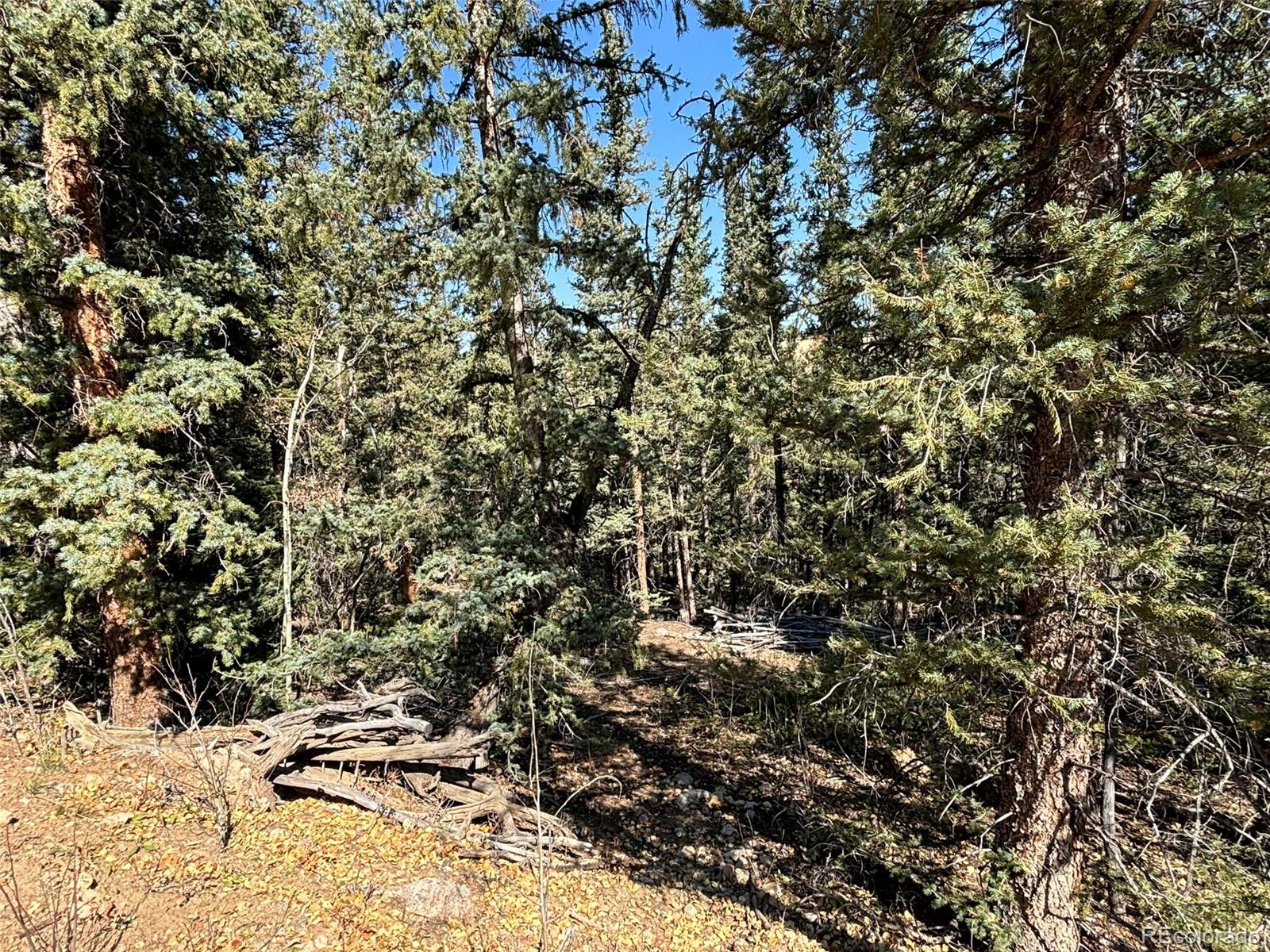 00 Boreas Circle, Jefferson, CO 80456, ,Land,For Sale,Boreas,REC5221686