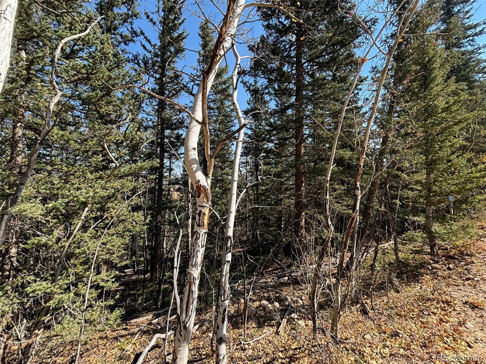 00 Boreas Circle, Jefferson, CO 80456, ,Land,For Sale,Boreas,REC5221686