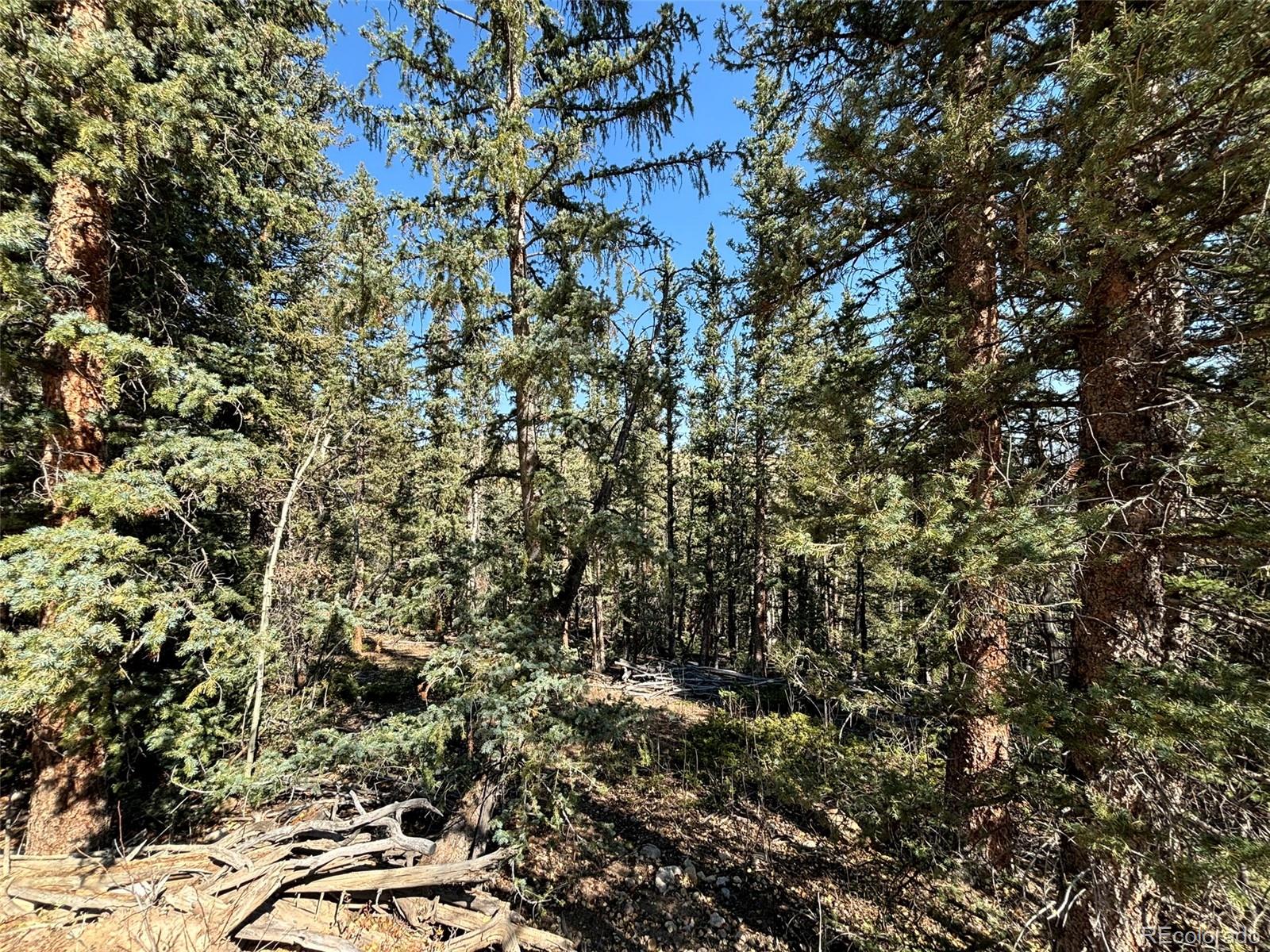 00 Boreas Circle, Jefferson, CO 80456, ,Land,For Sale,Boreas,REC5221686