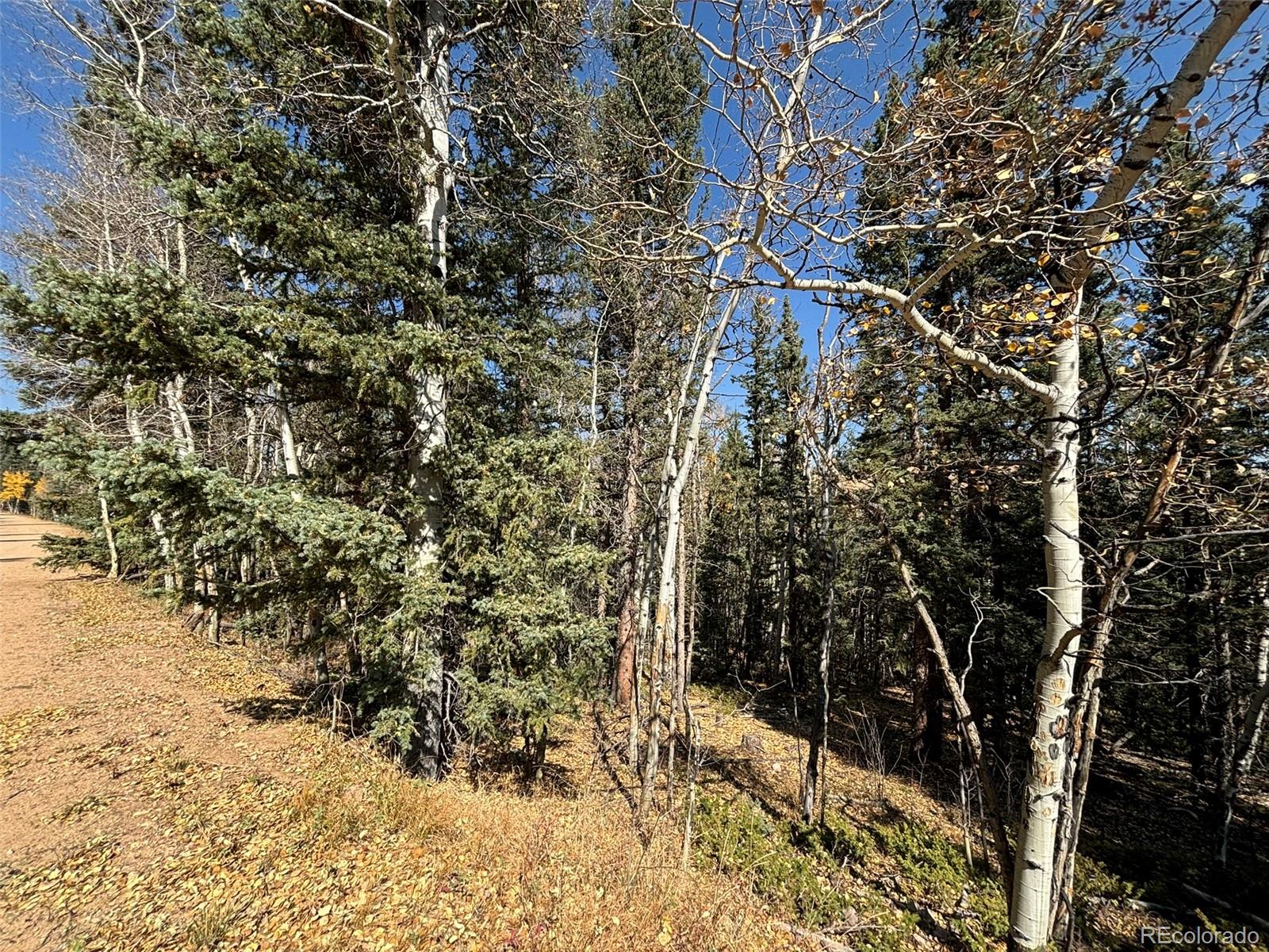 00 Boreas Circle, Jefferson, CO 80456, ,Land,For Sale,Boreas,REC5221686