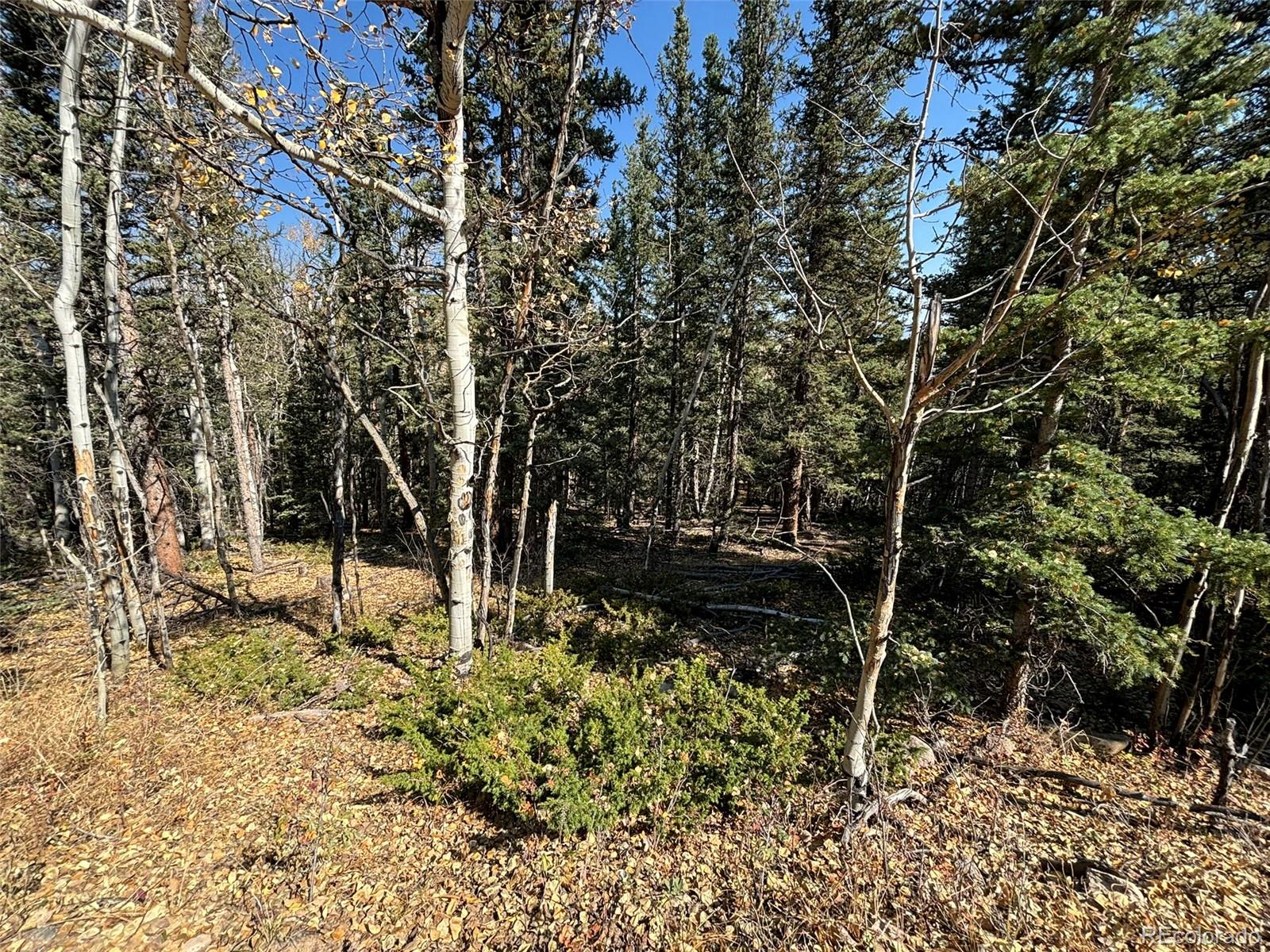 00 Boreas Circle, Jefferson, CO 80456, ,Land,For Sale,Boreas,REC5221686