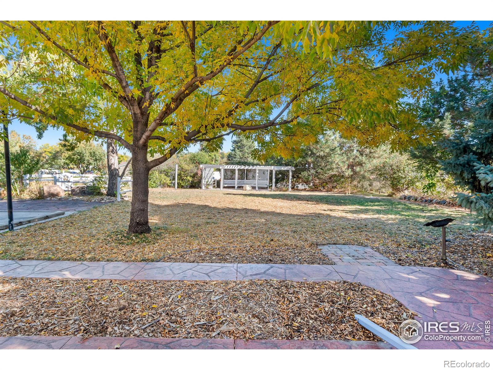 2151 Glenfair Drive, Greeley, CO 80631, 4 Bedrooms Bedrooms, ,4 BathroomsBathrooms,Residential,For Sale,Glenfair,RECIR1021234