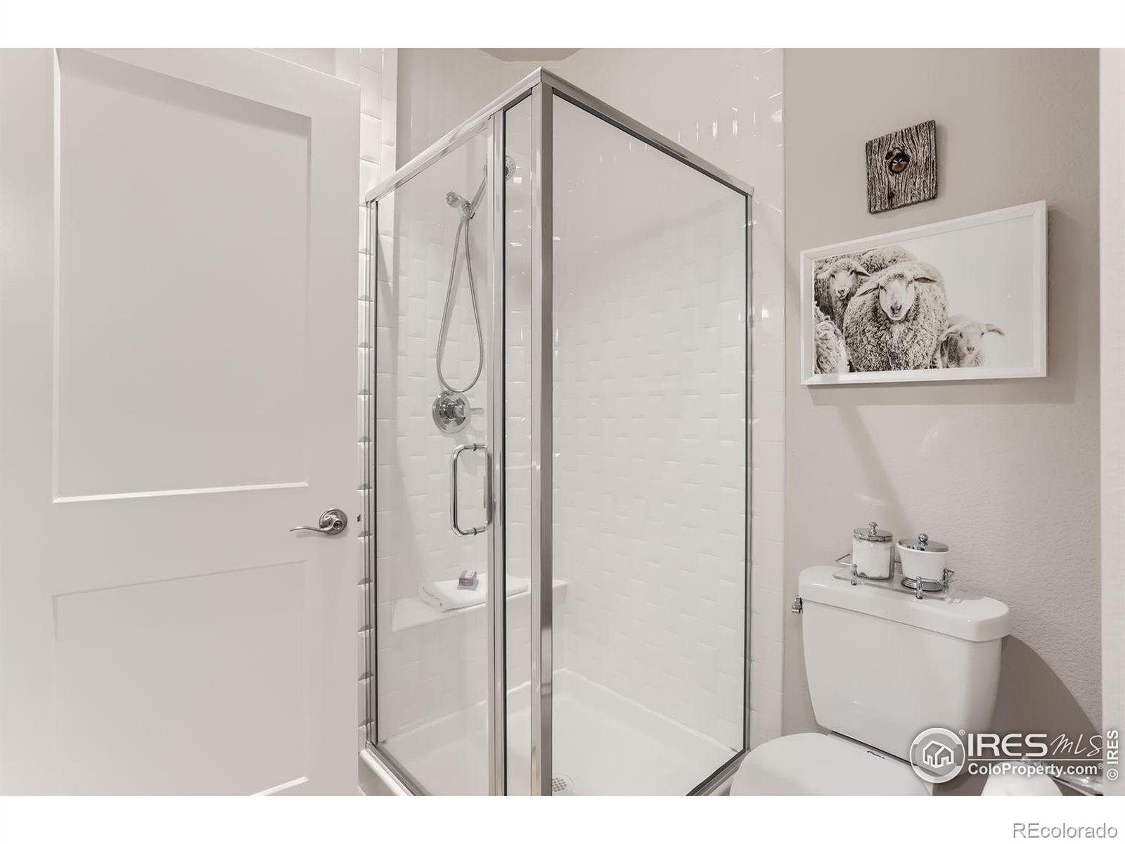 1309 Oak Court, Longmont, CO 80501, 2 Bedrooms Bedrooms, ,2 BathroomsBathrooms,Residential,For Sale,Oak,RECIR1021333