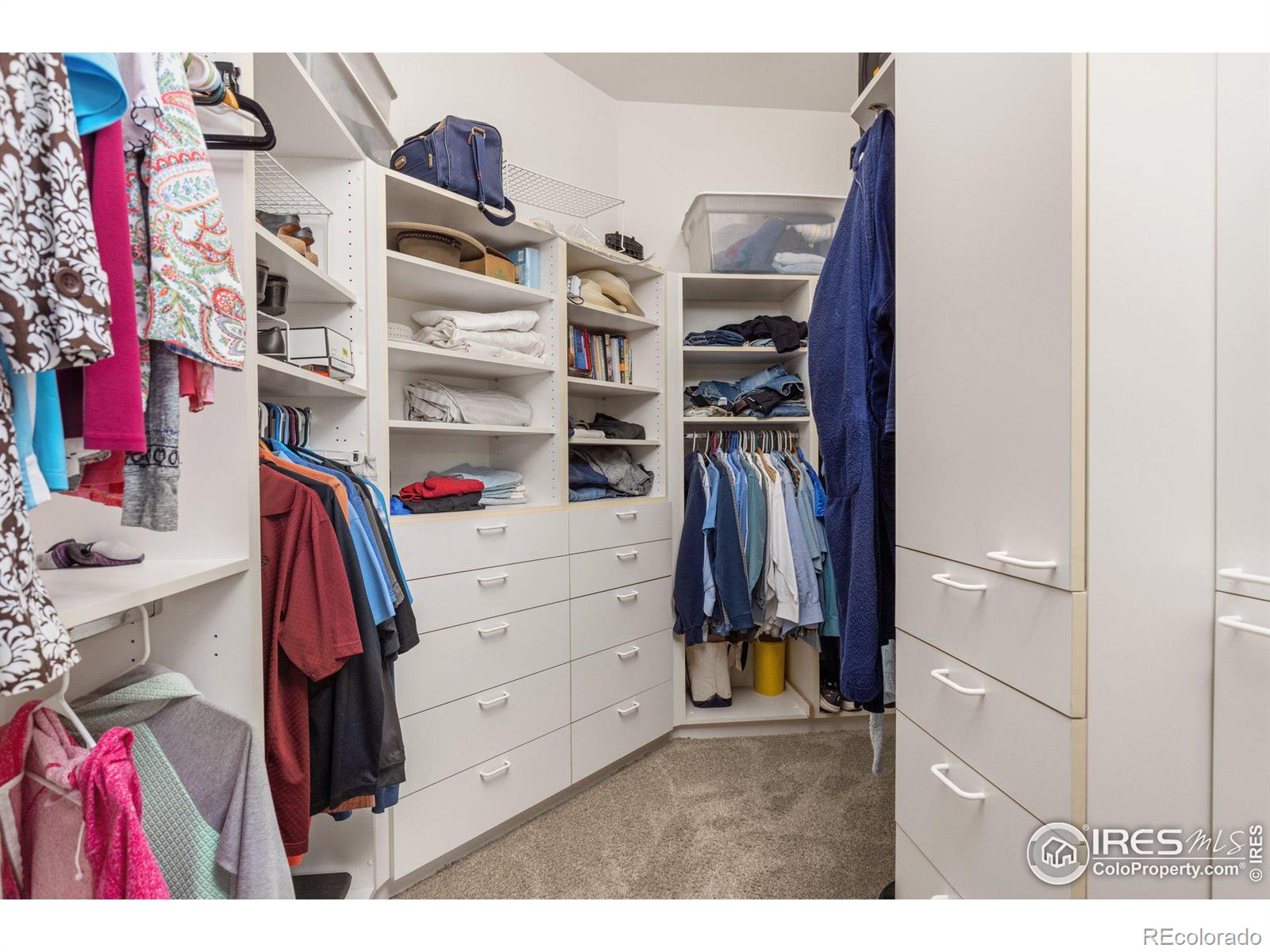 7406 Streamside Drive, Fort Collins, CO 80525, 5 Bedrooms Bedrooms, ,5 BathroomsBathrooms,Residential,For Sale,Streamside,RECIR1021346