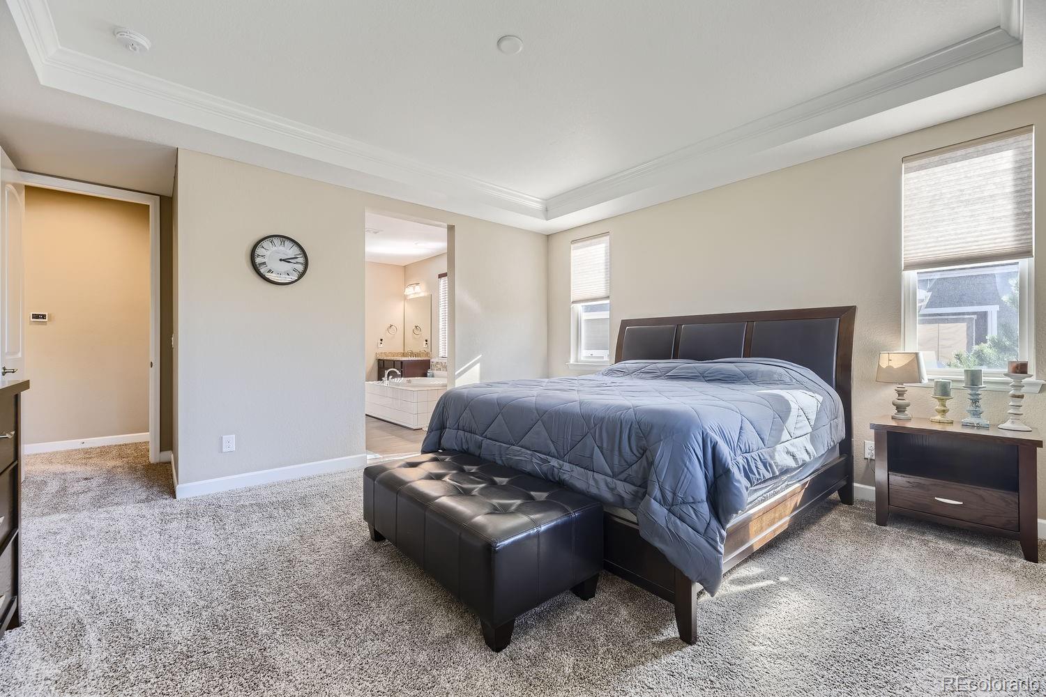 6673 Mentha Drive, Castle Rock, CO 80108, 3 Bedrooms Bedrooms, ,2 BathroomsBathrooms,Residential,For Sale,Mentha,REC1962426