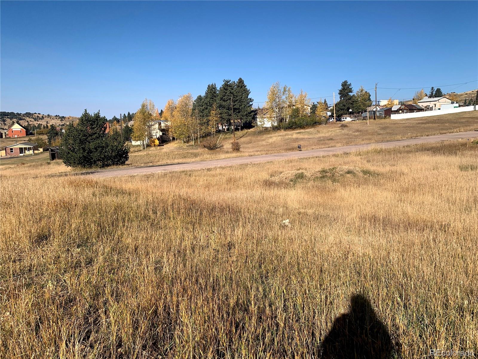 703 Lode Street, Cripple Creek, CO 80813, ,Land,For Sale,Lode,REC3785008