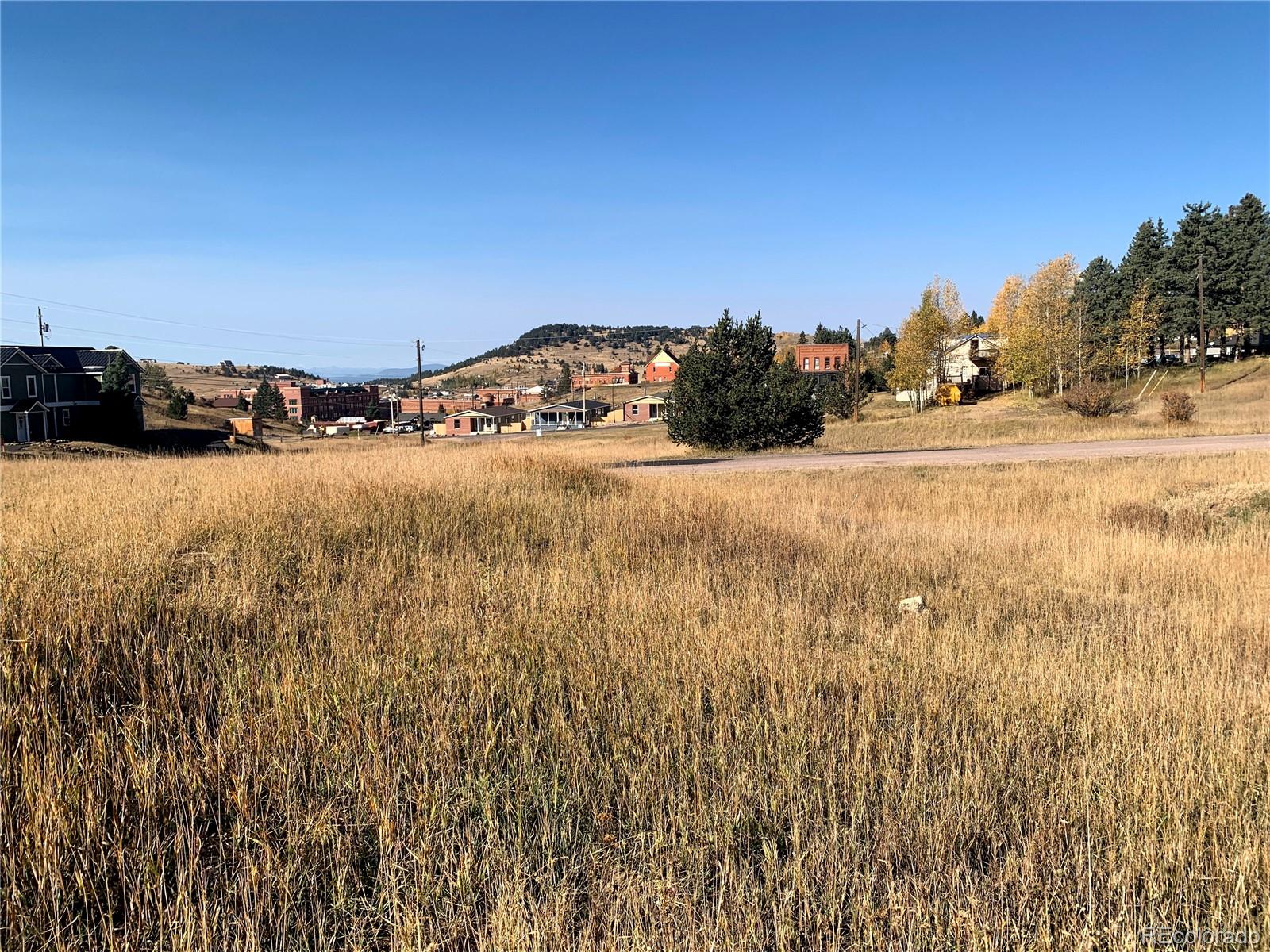 703 Lode Street, Cripple Creek, CO 80813, ,Land,For Sale,Lode,REC3785008