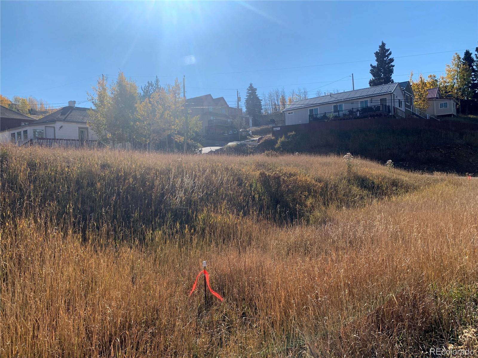 703 Lode Street, Cripple Creek, CO 80813, ,Land,For Sale,Lode,REC3785008
