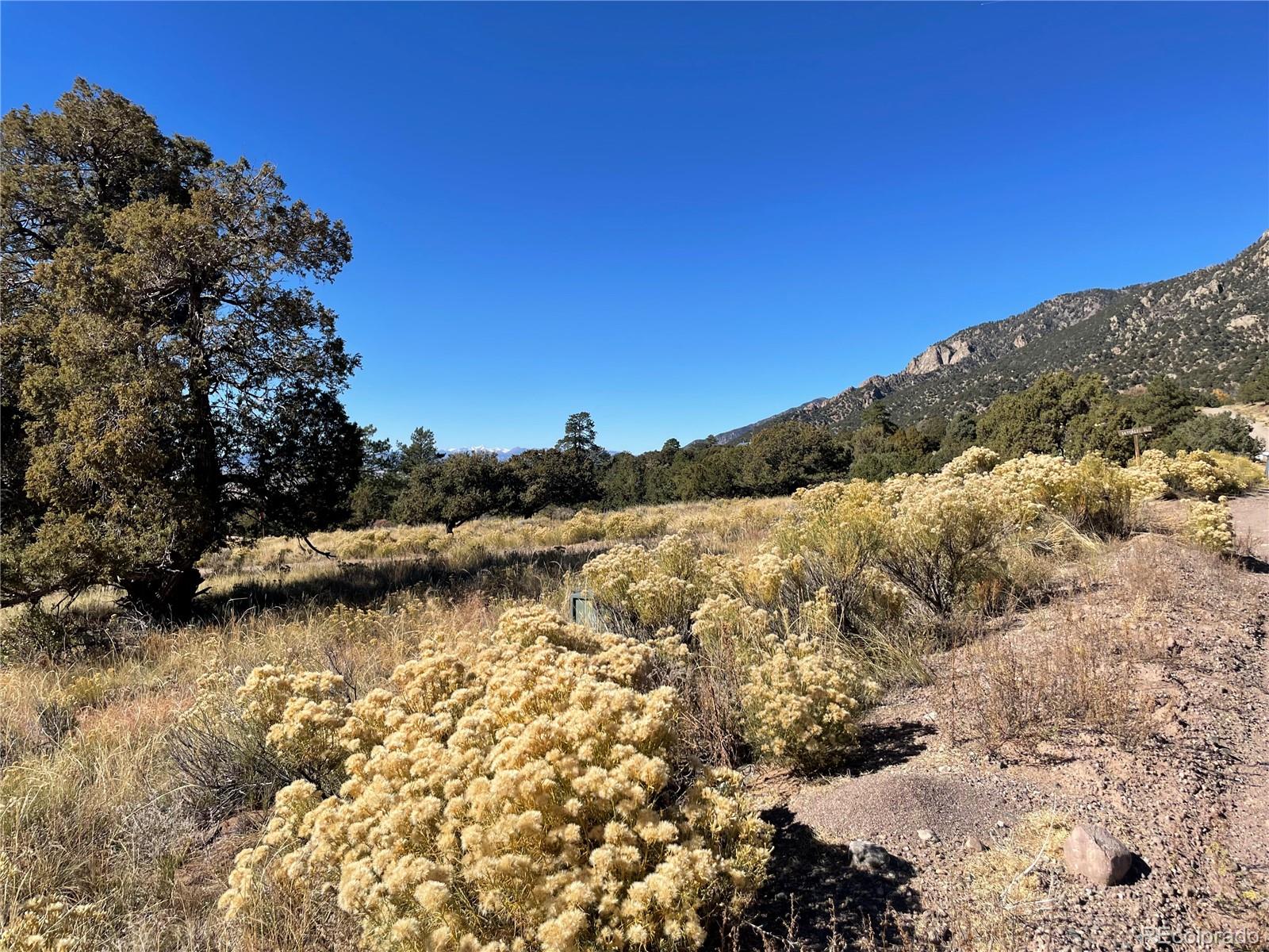 902 Brookview Way, Crestone, CO 81131, ,Land,For Sale,Brookview,REC1756916