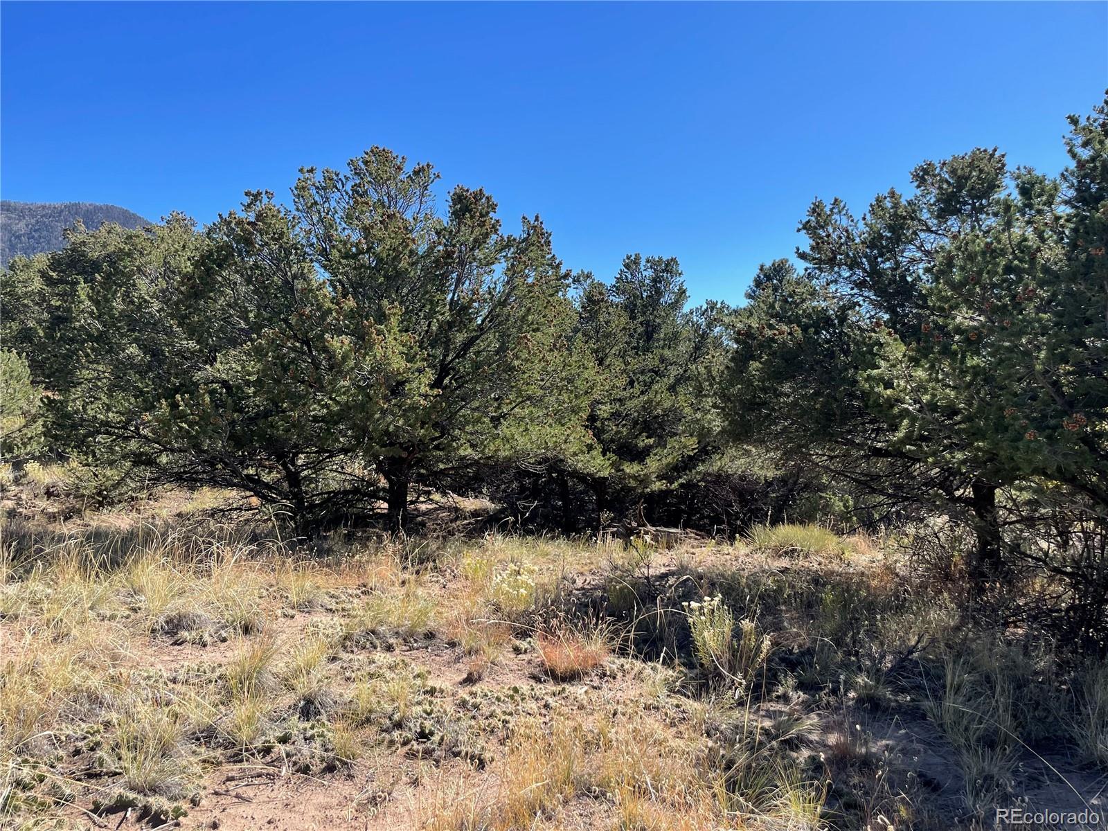 902 Brookview Way, Crestone, CO 81131, ,Land,For Sale,Brookview,REC1756916