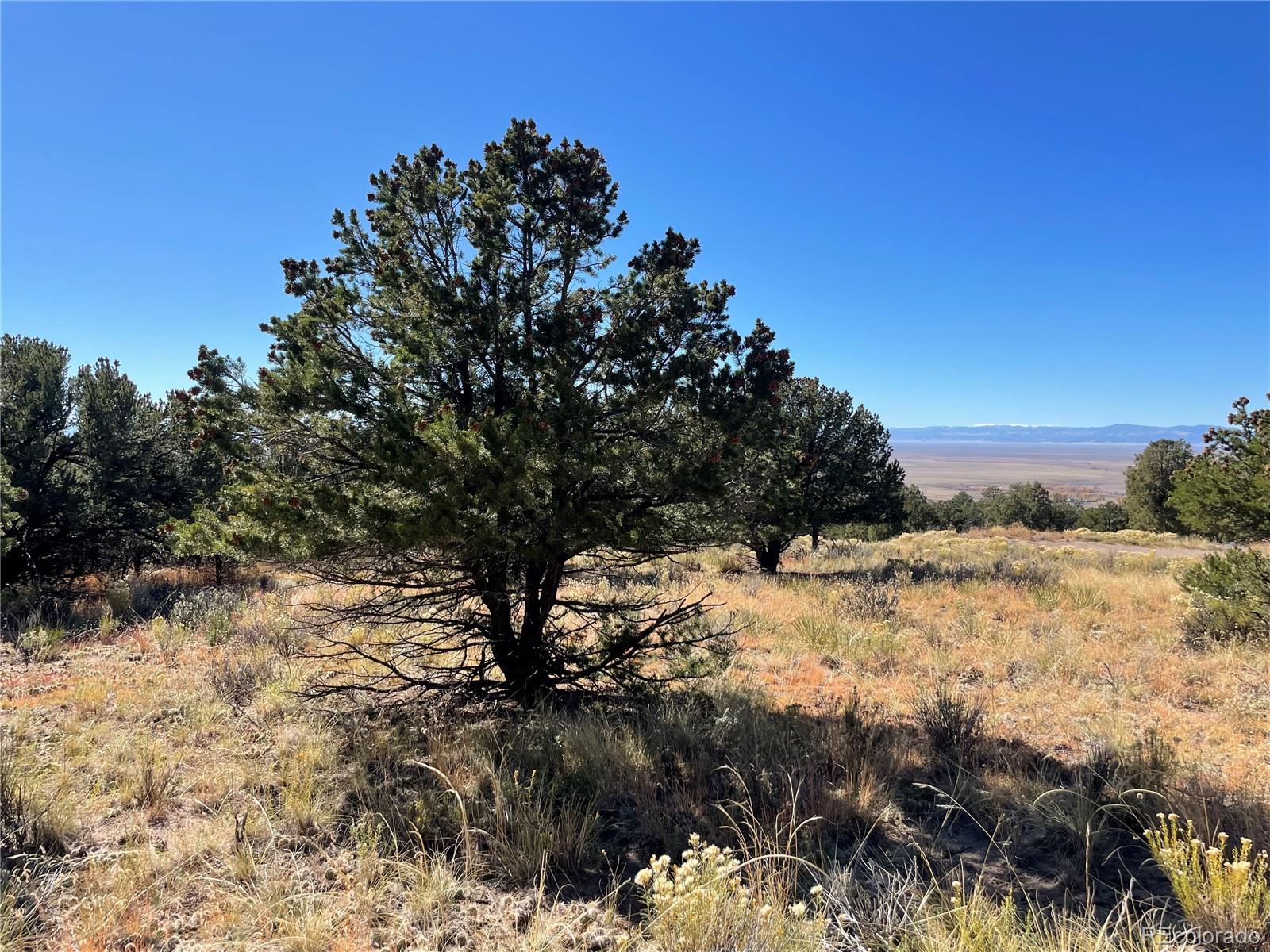 902 Brookview Way, Crestone, CO 81131, ,Land,For Sale,Brookview,REC1756916