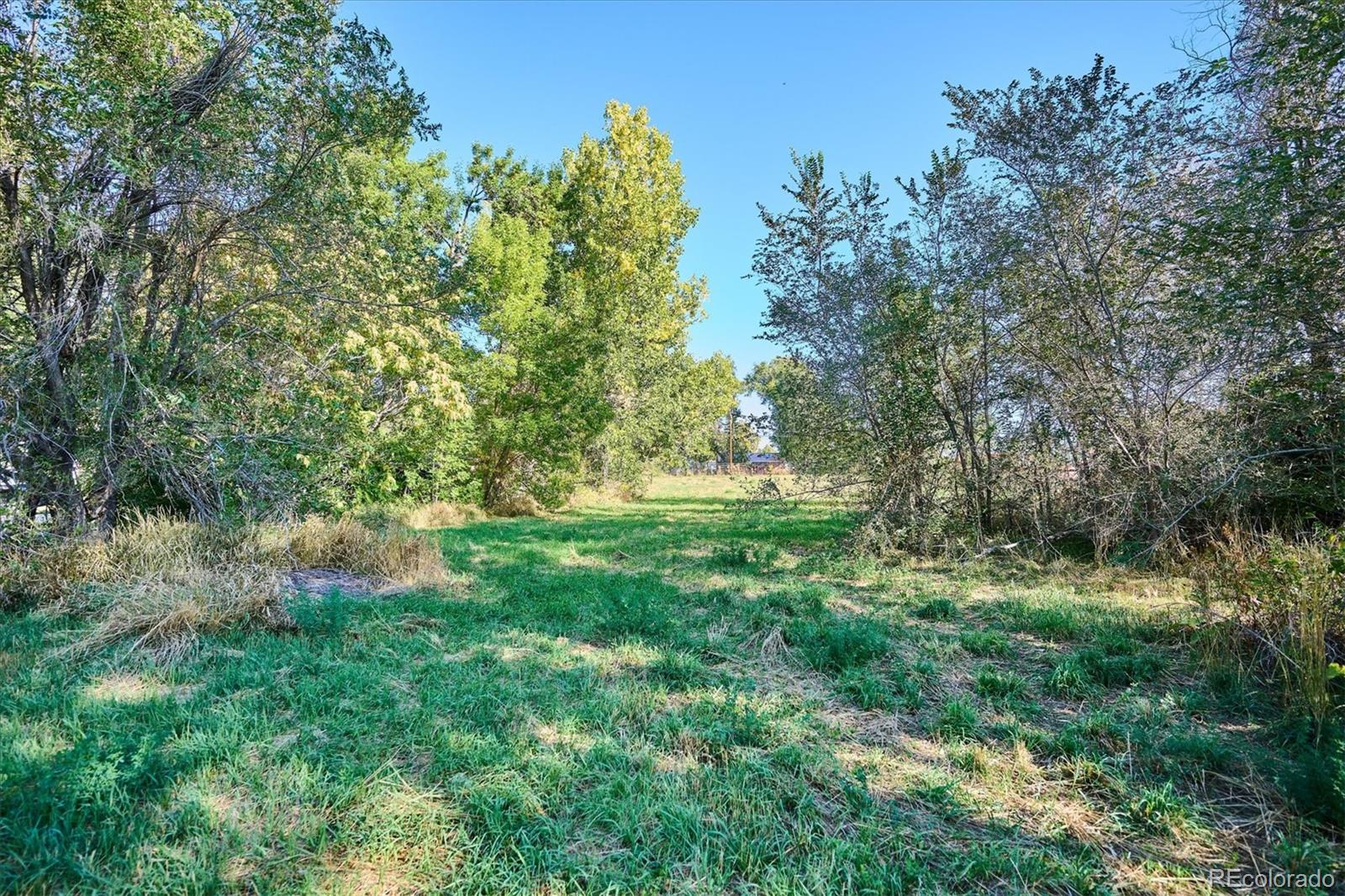 7735 Westview Drive, Lakewood, CO 80214, ,Land,For Sale,Westview,REC5522953