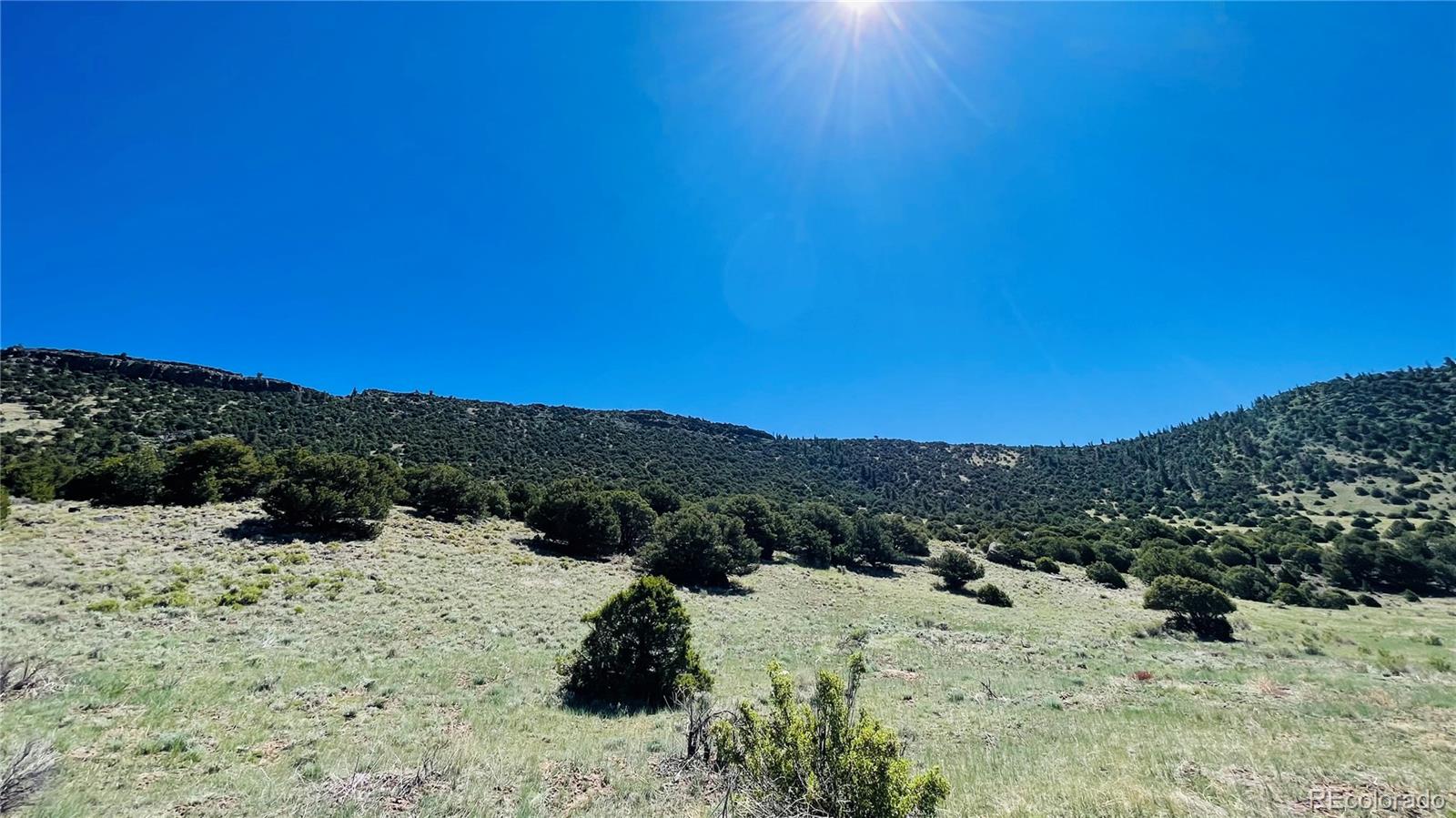 TR 2 County Rd F, Antonito, CO 81120, ,Land,For Sale,County Rd F,REC1596252
