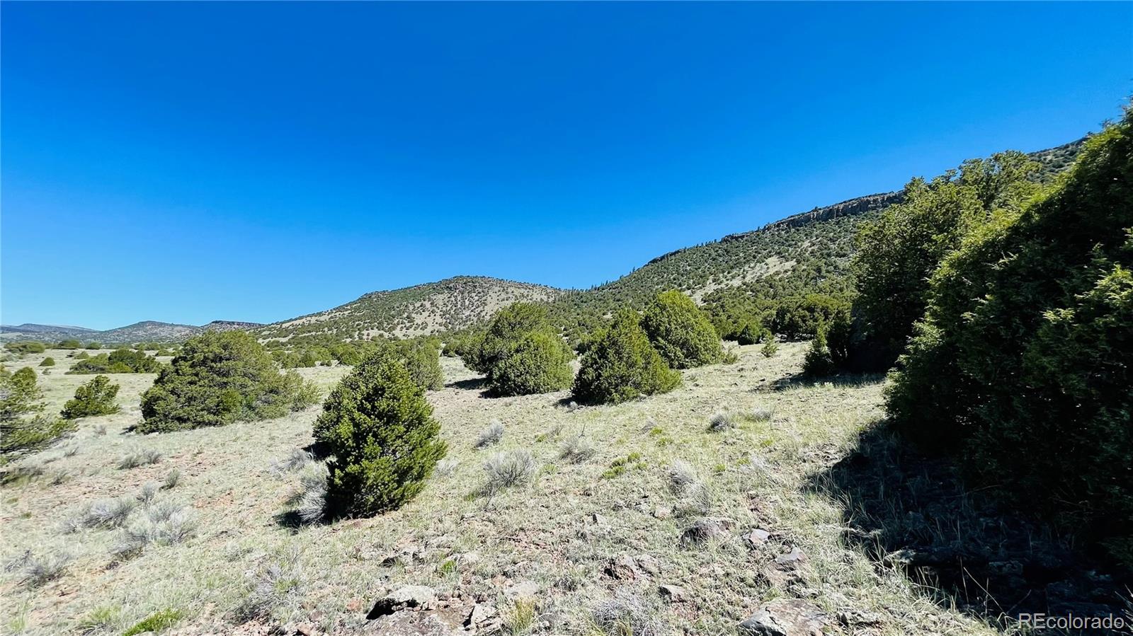 TR 2 County Rd F, Antonito, CO 81120, ,Land,For Sale,County Rd F,REC1596252