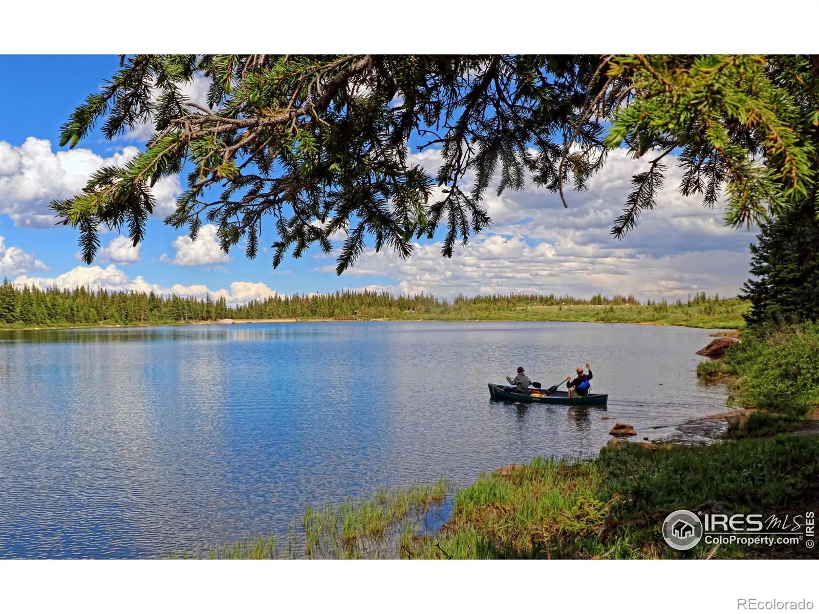 25 Chatham Street, Ward, CO 80481, 2 Bedrooms Bedrooms, ,1 BathroomBathrooms,Residential,For Sale,Chatham,RECIR1021393