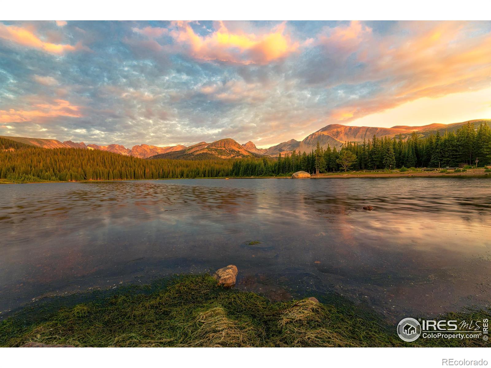 25 Chatham Street, Ward, CO 80481, 2 Bedrooms Bedrooms, ,1 BathroomBathrooms,Residential,For Sale,Chatham,RECIR1021393