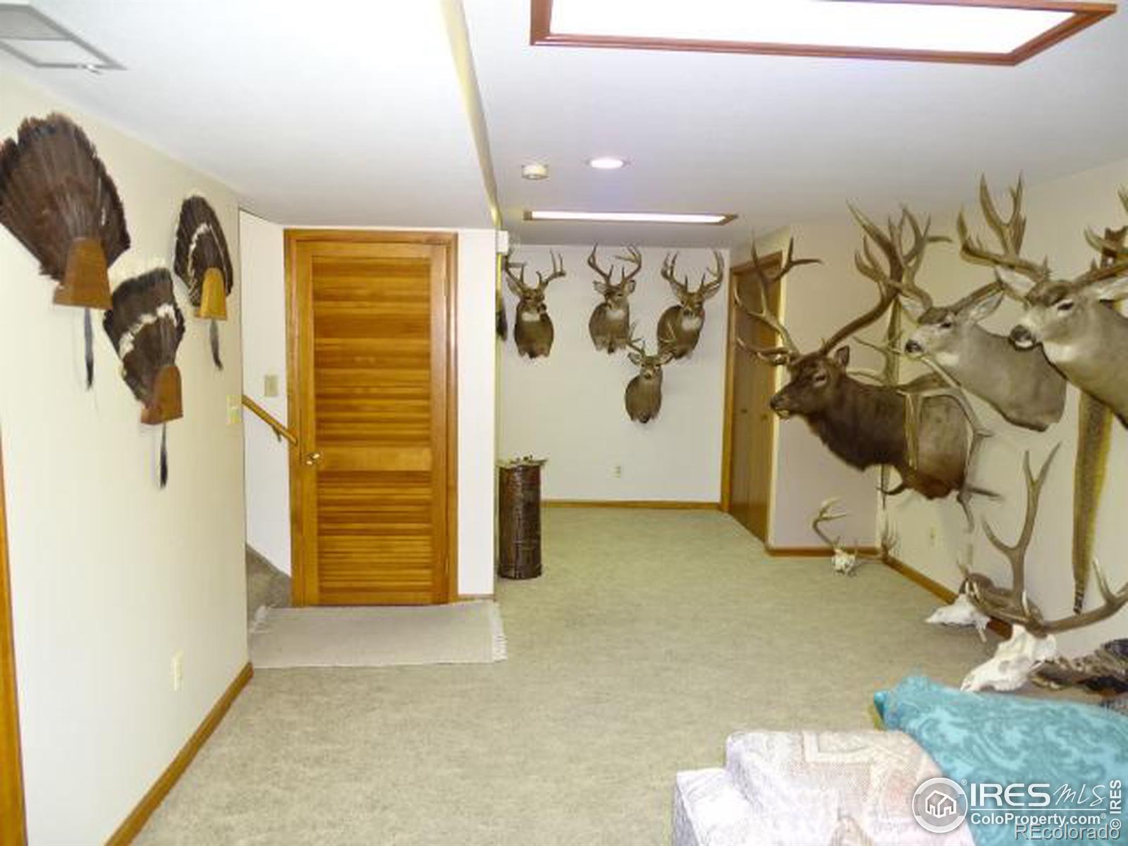 23982 County Road 58, Greeley, CO 80631, 4 Bedrooms Bedrooms, ,2 BathroomsBathrooms,Residential,For Sale,County Road 58,RECIR1021437